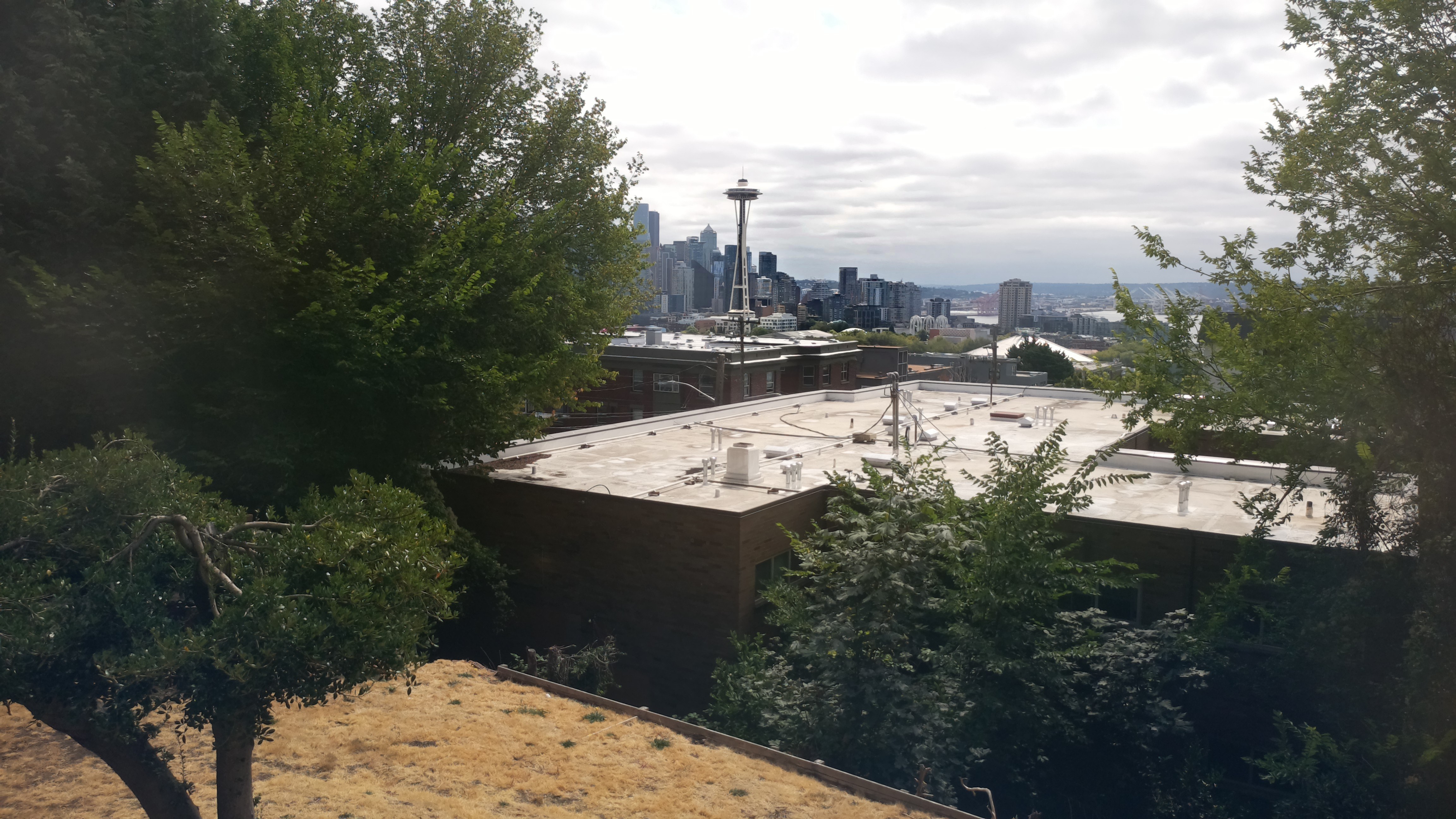 Mt. Rainier from Seattle — Saturday, August 22