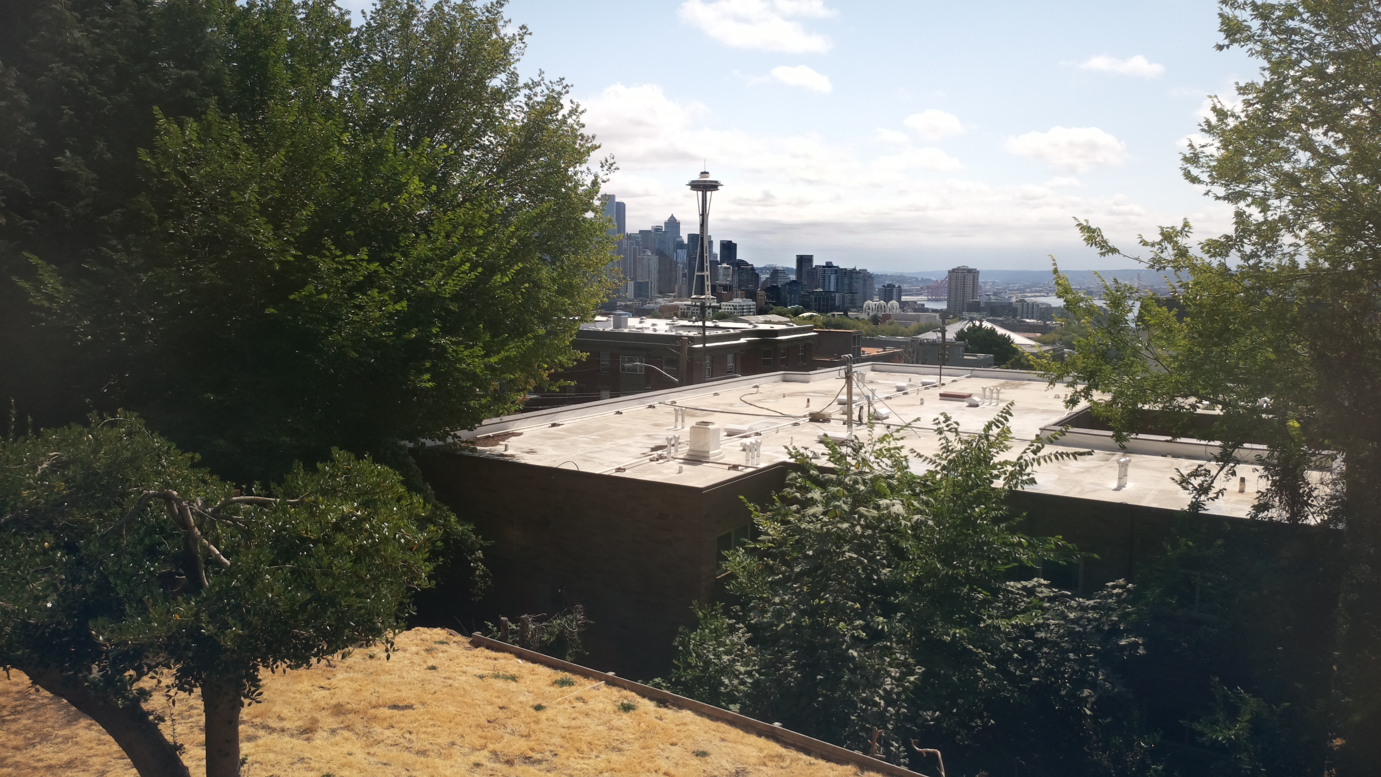 Mt. Rainier from Seattle — Saturday, August 22