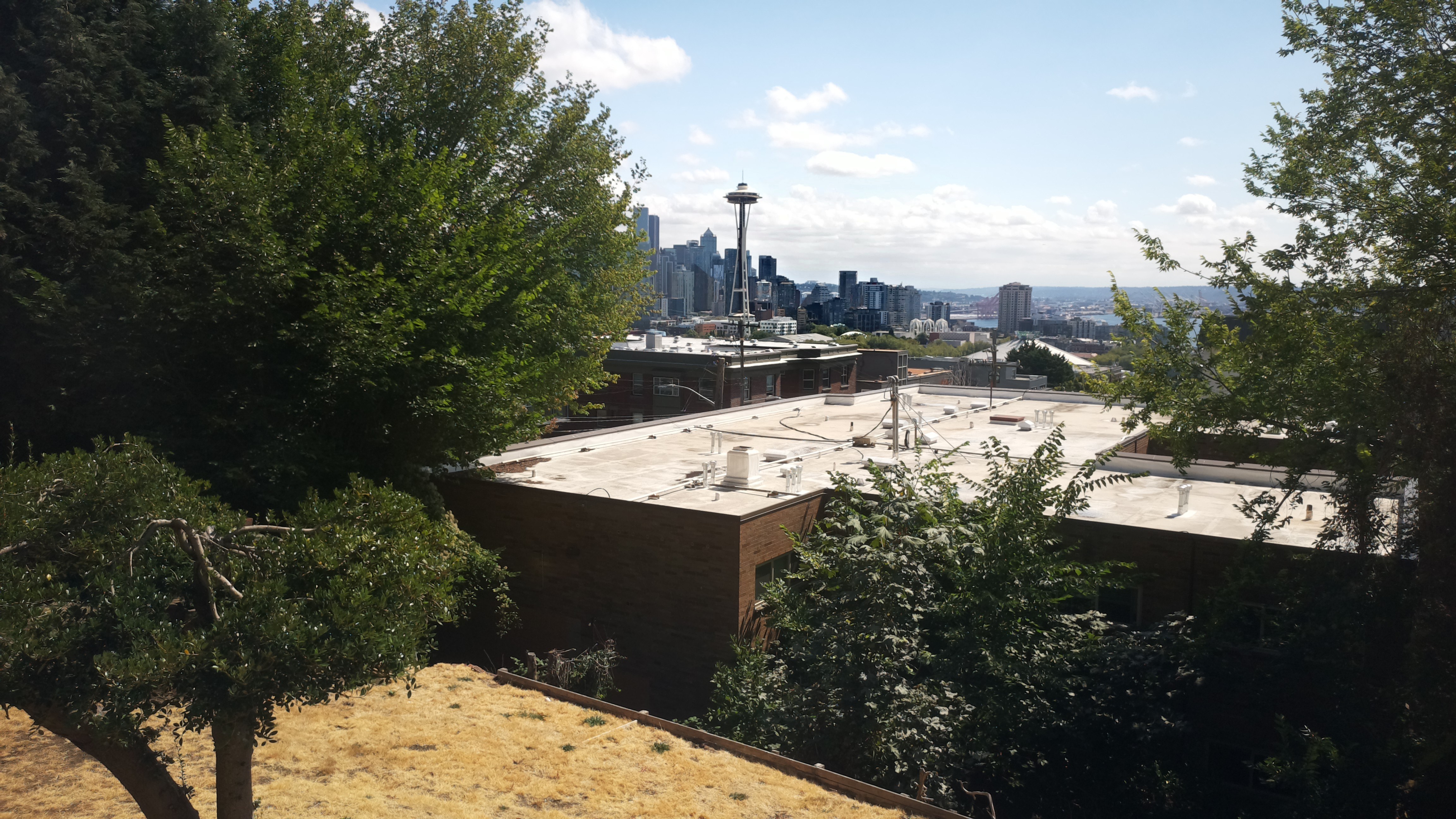 Mt. Rainier from Seattle — Saturday, August 22