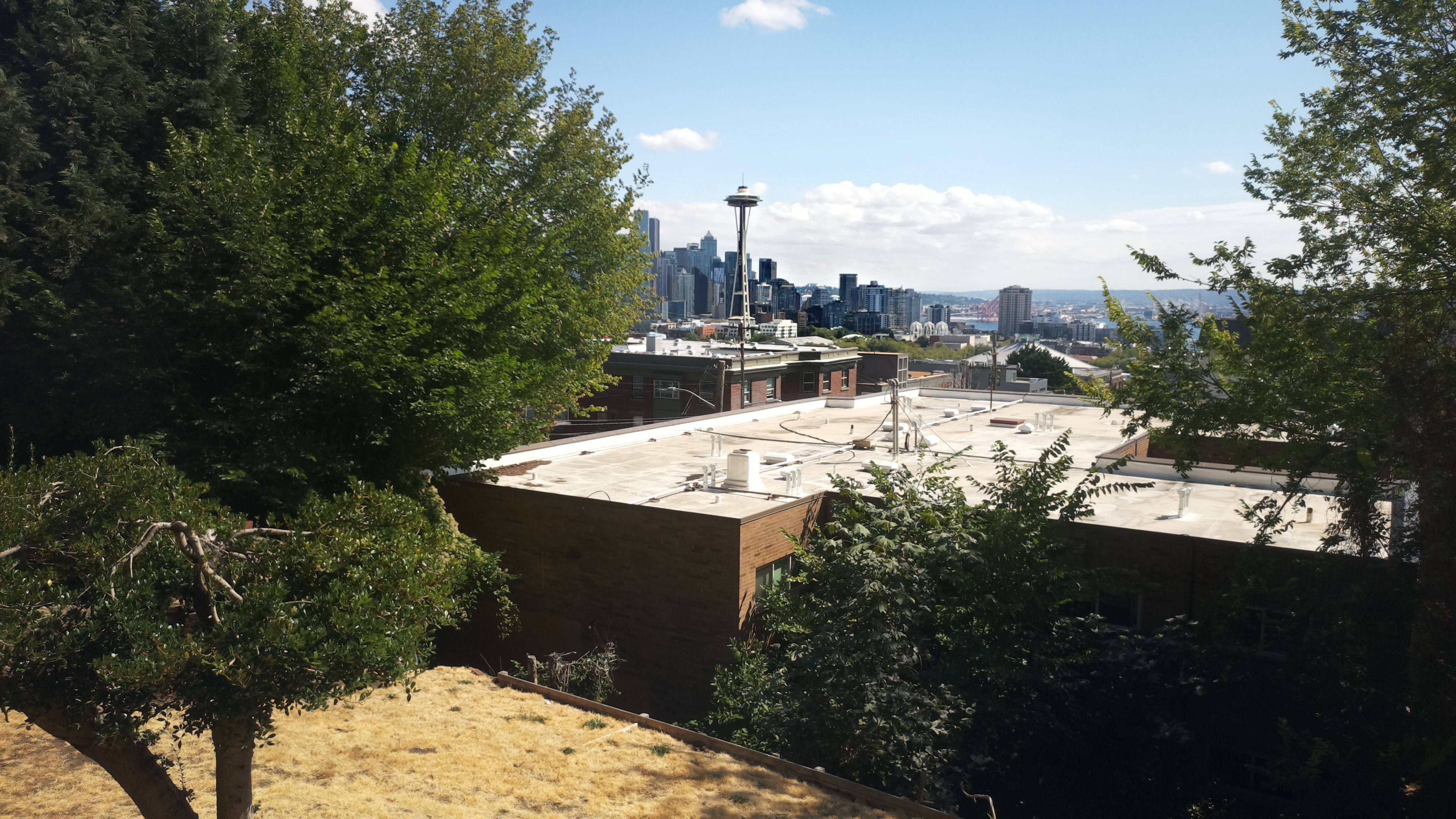 Mt. Rainier from Seattle — Saturday, August 22