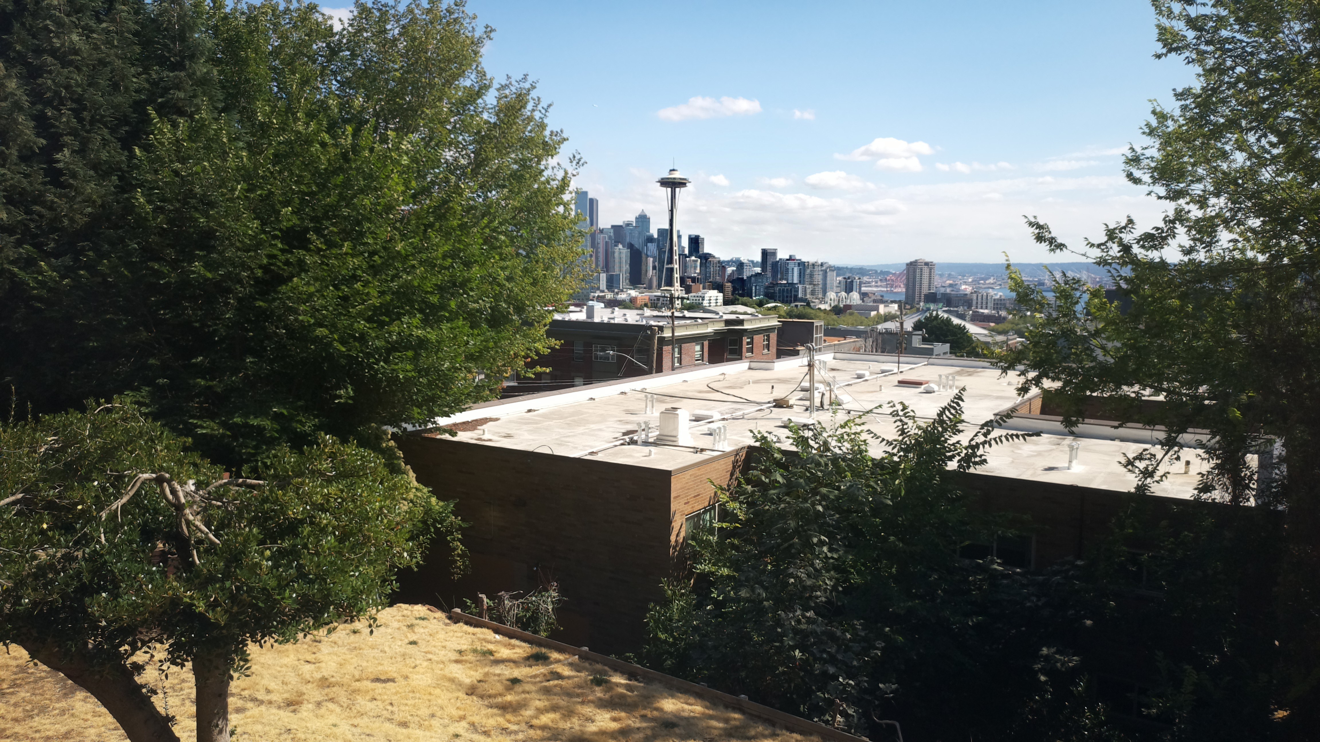 Mt. Rainier from Seattle — Saturday, August 22