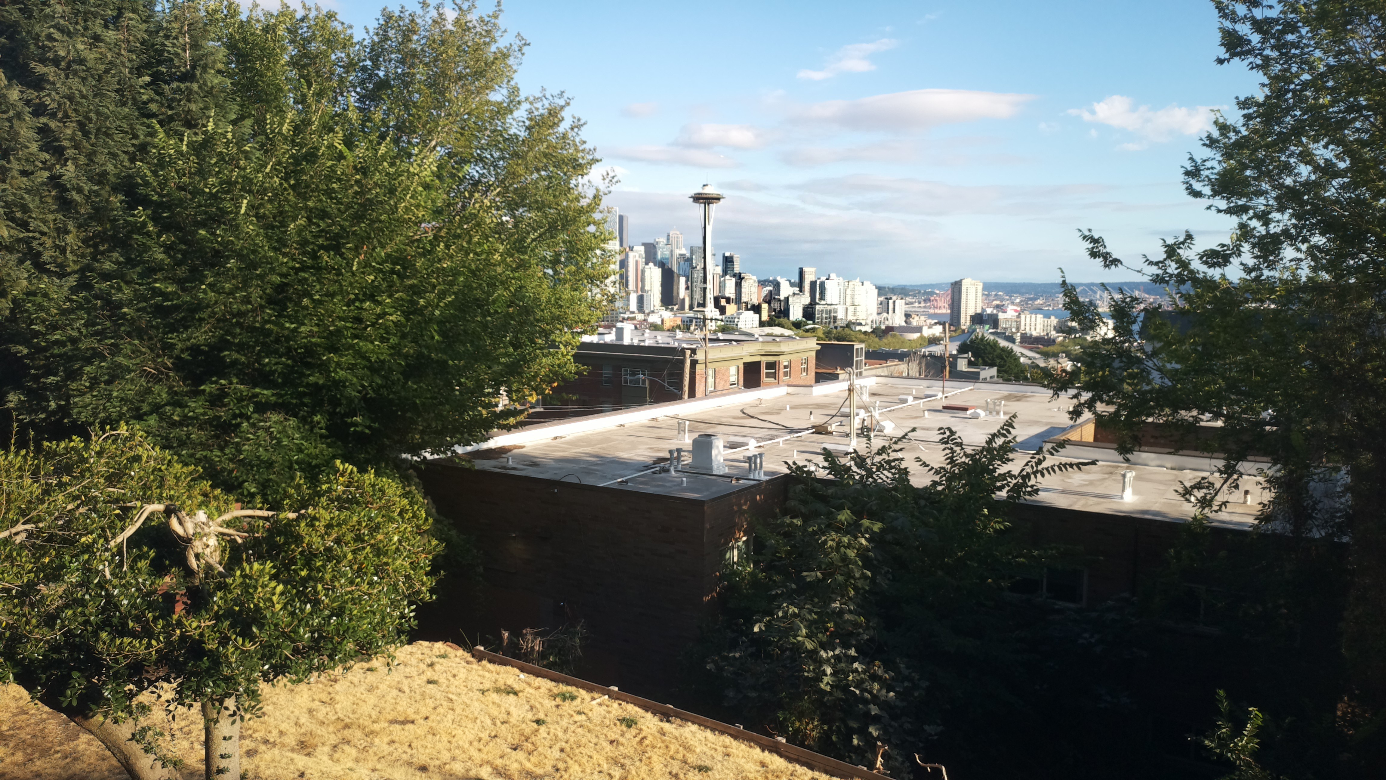 Mt. Rainier from Seattle — Saturday, August 22