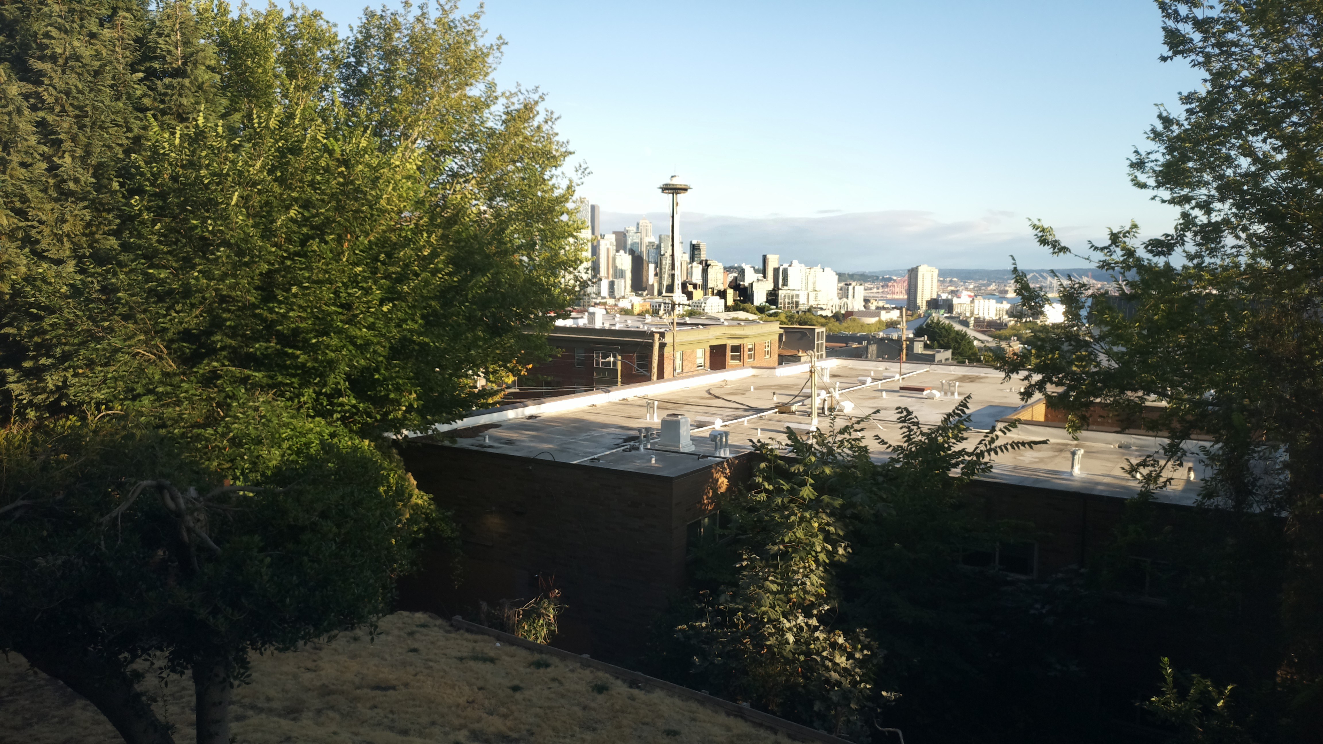 Mt. Rainier from Seattle — Saturday, August 22