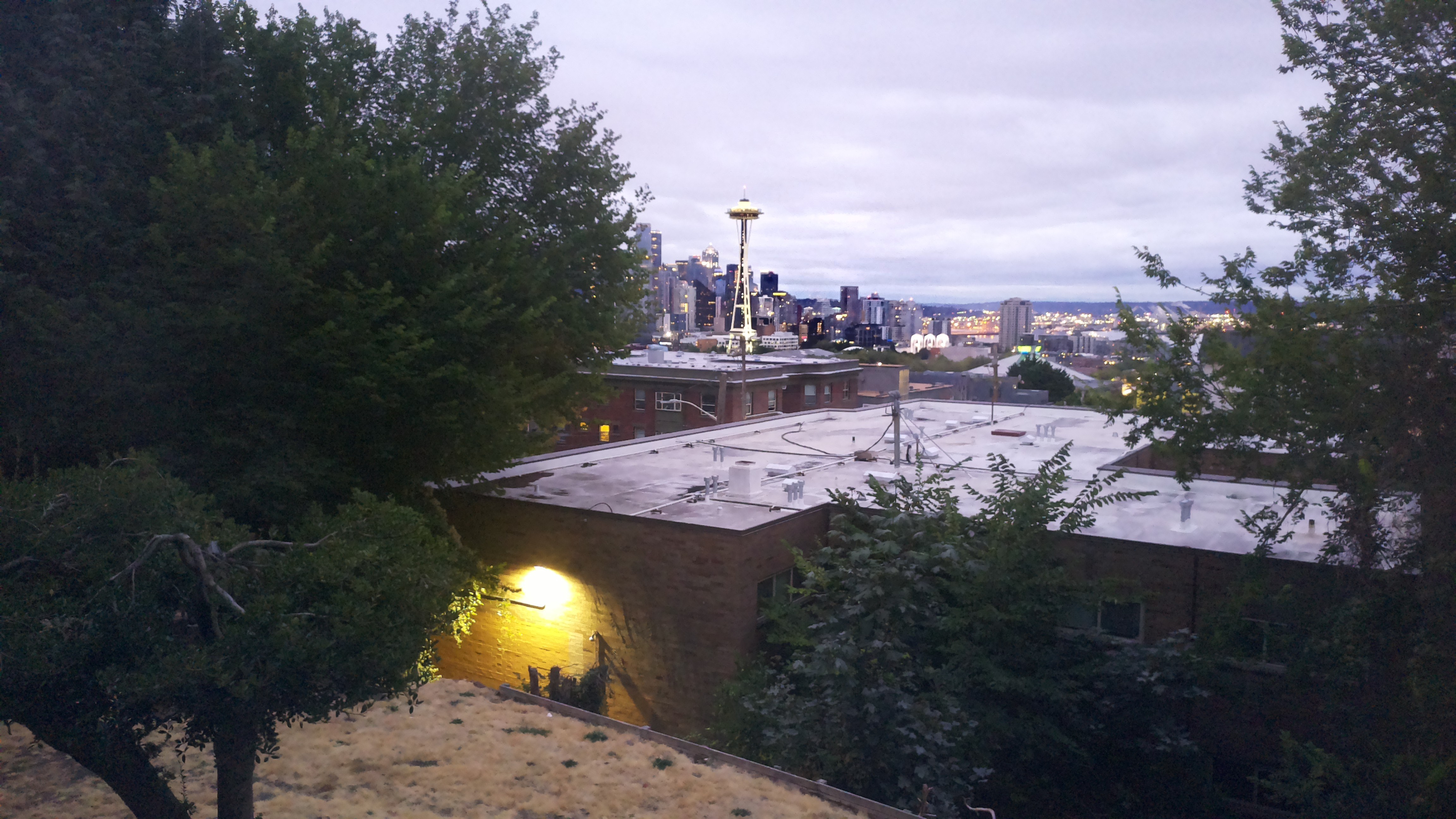 Mt. Rainier from Seattle — Sunday, August 23