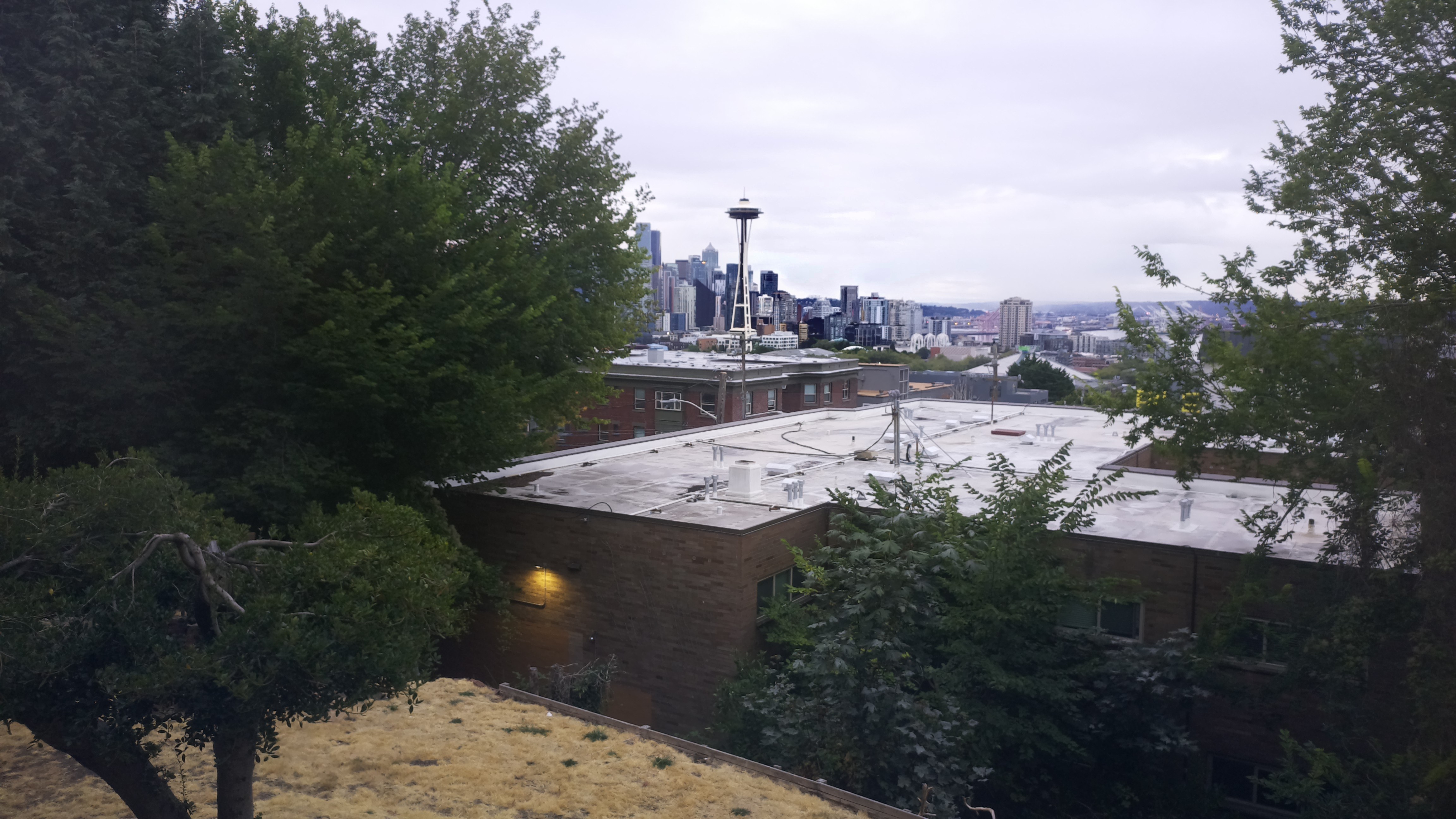 Mt. Rainier from Seattle — Sunday, August 23