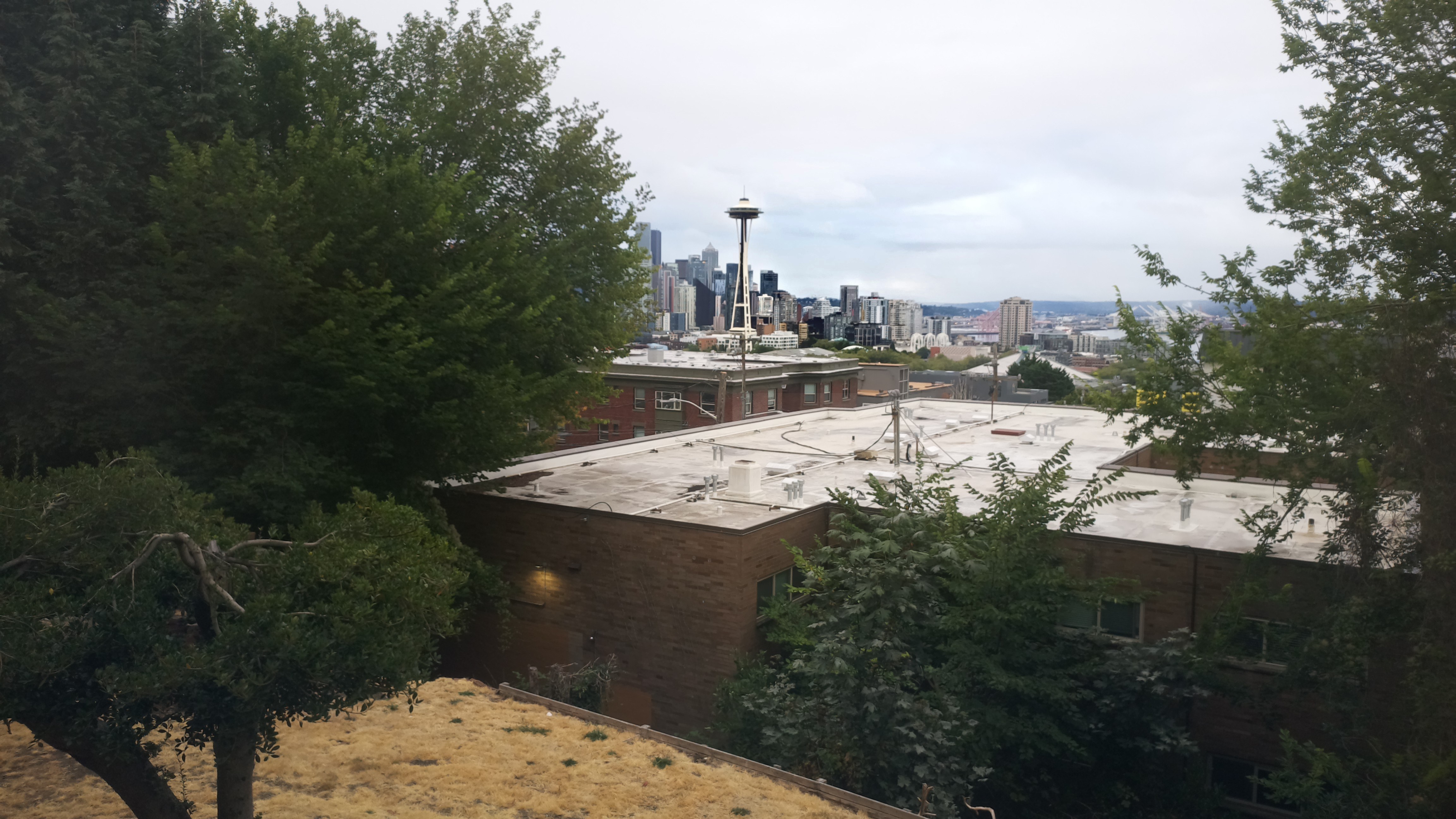 Mt. Rainier from Seattle — Sunday, August 23