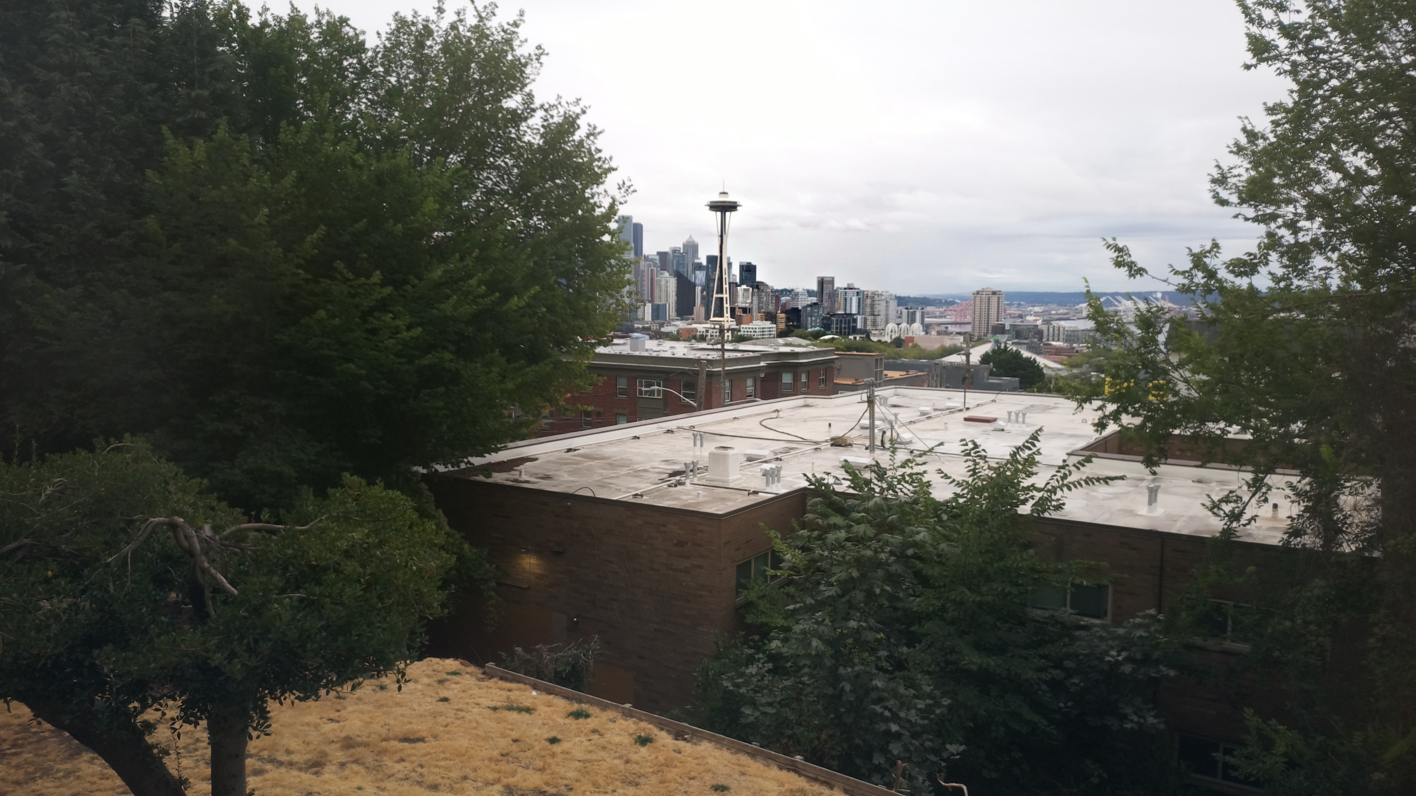 Mt. Rainier from Seattle — Sunday, August 23