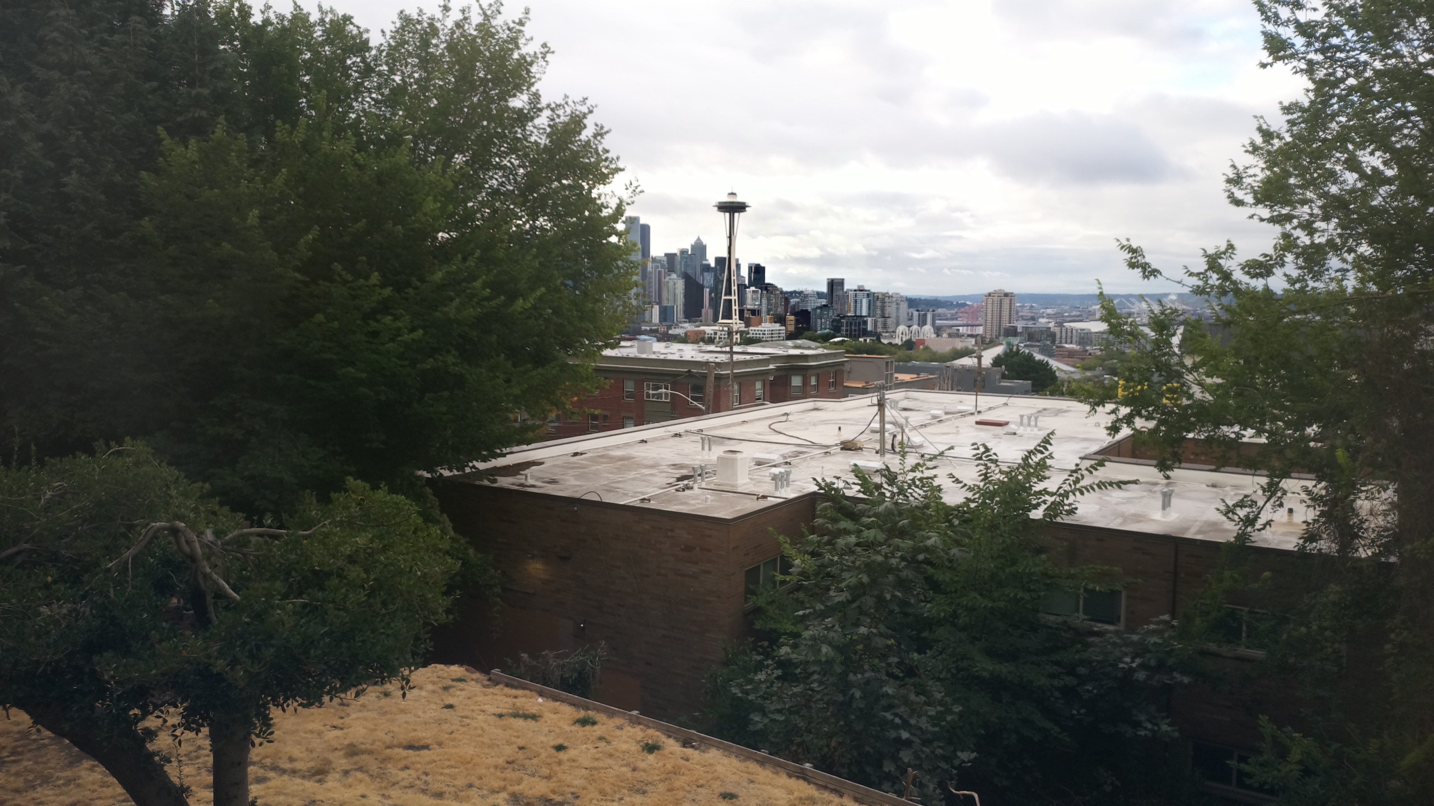 Mt. Rainier from Seattle — Sunday, August 23