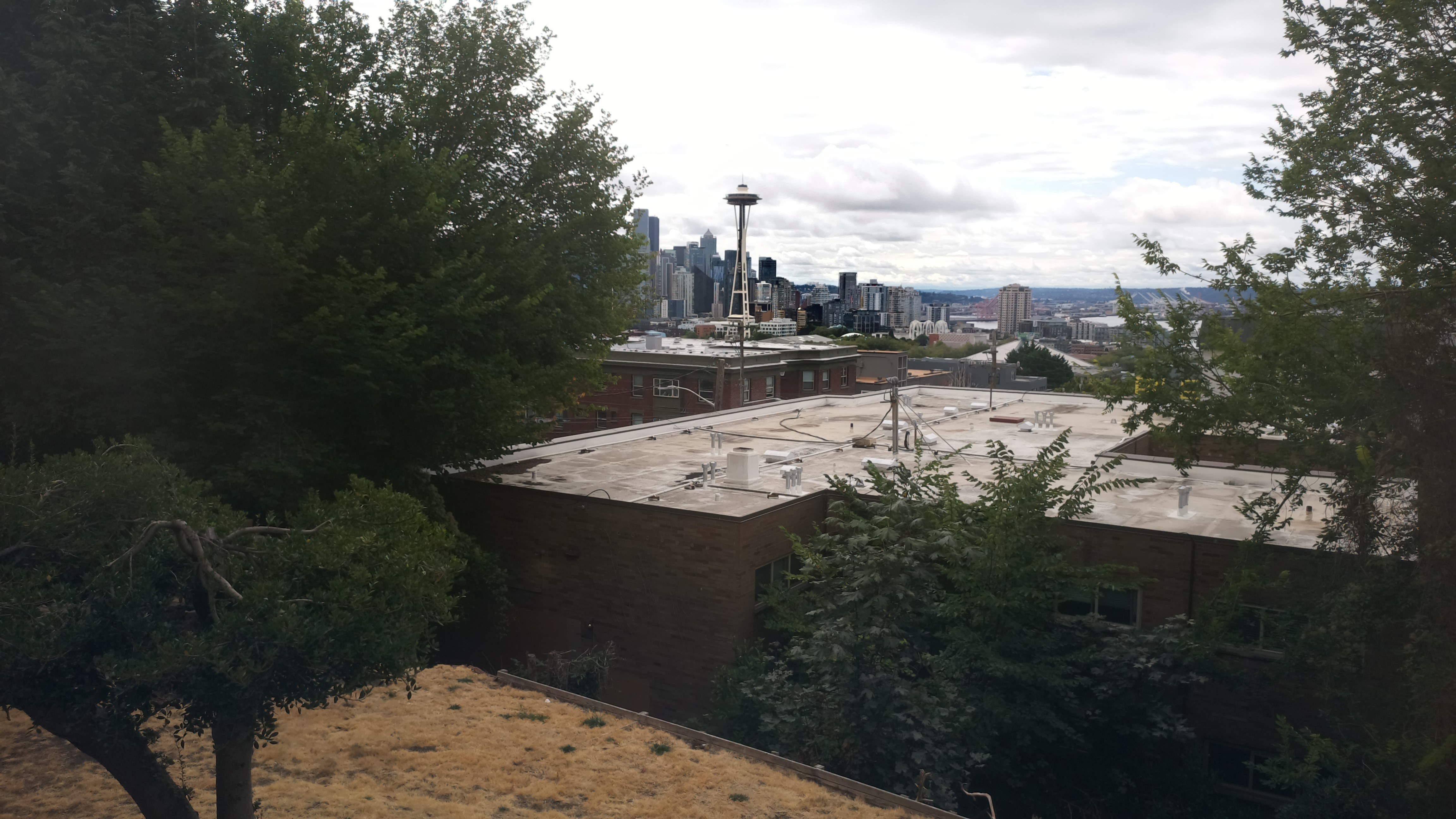 Mt. Rainier from Seattle — Sunday, August 23