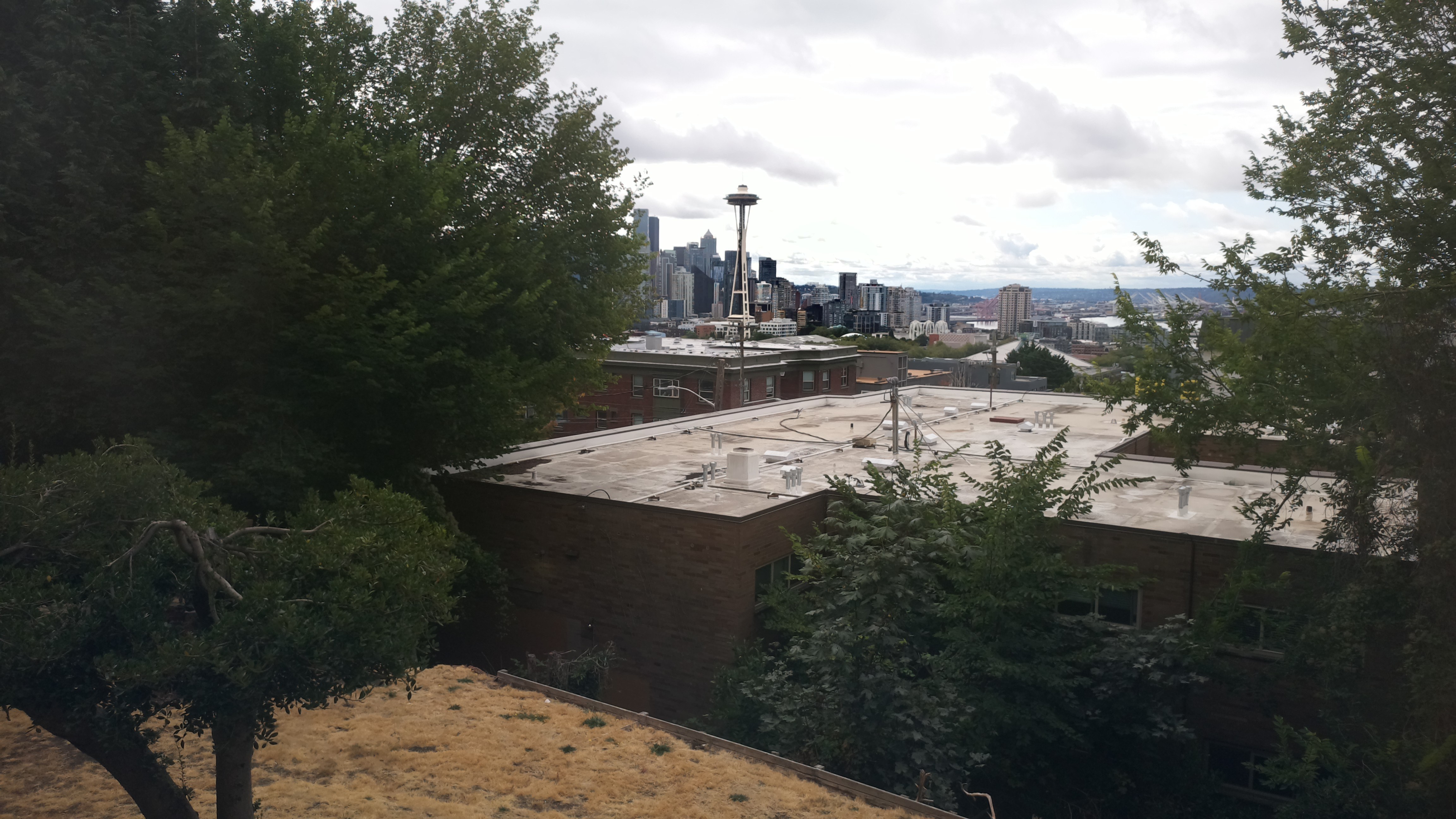 Mt. Rainier from Seattle — Sunday, August 23