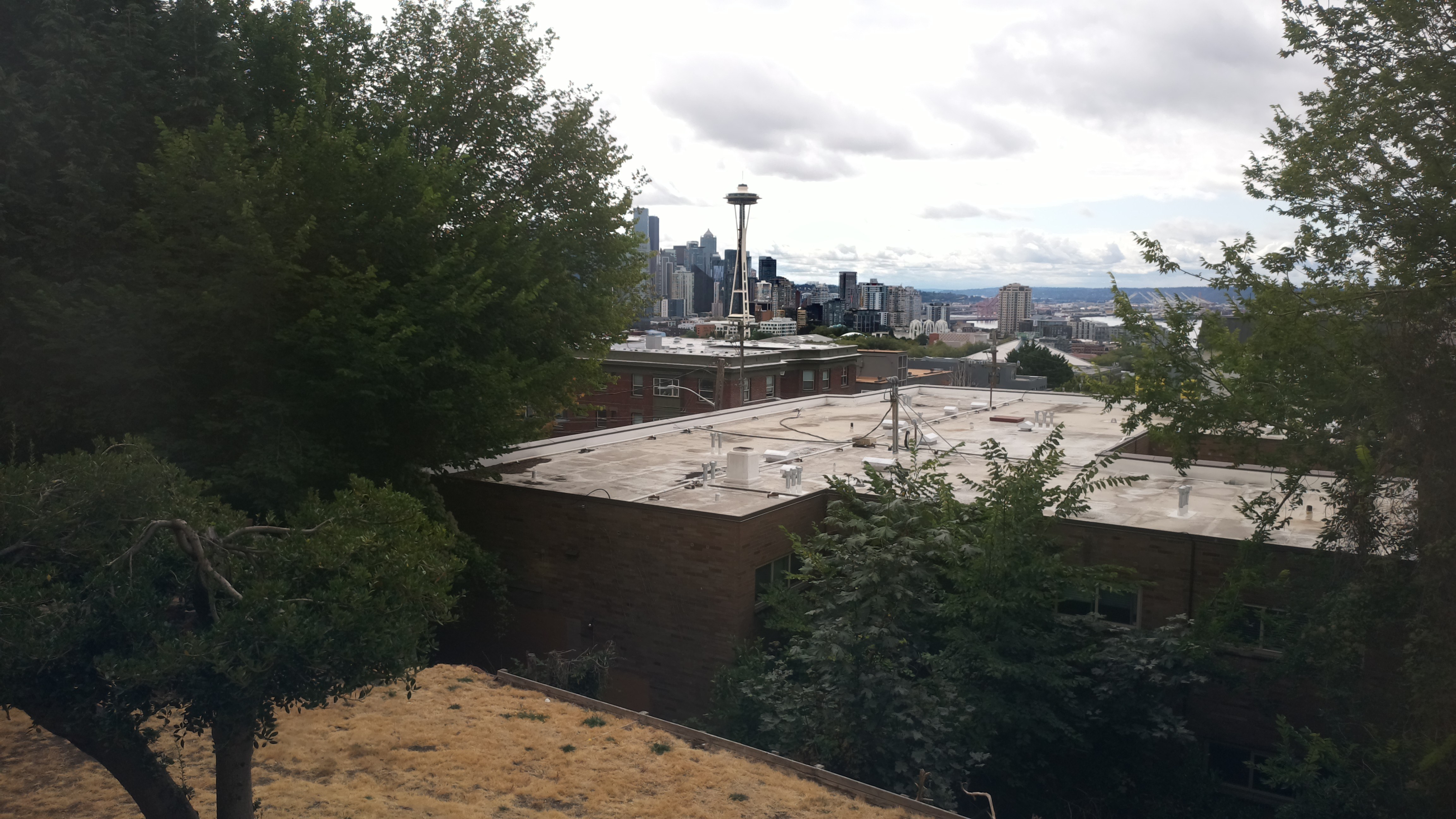 Mt. Rainier from Seattle — Sunday, August 23