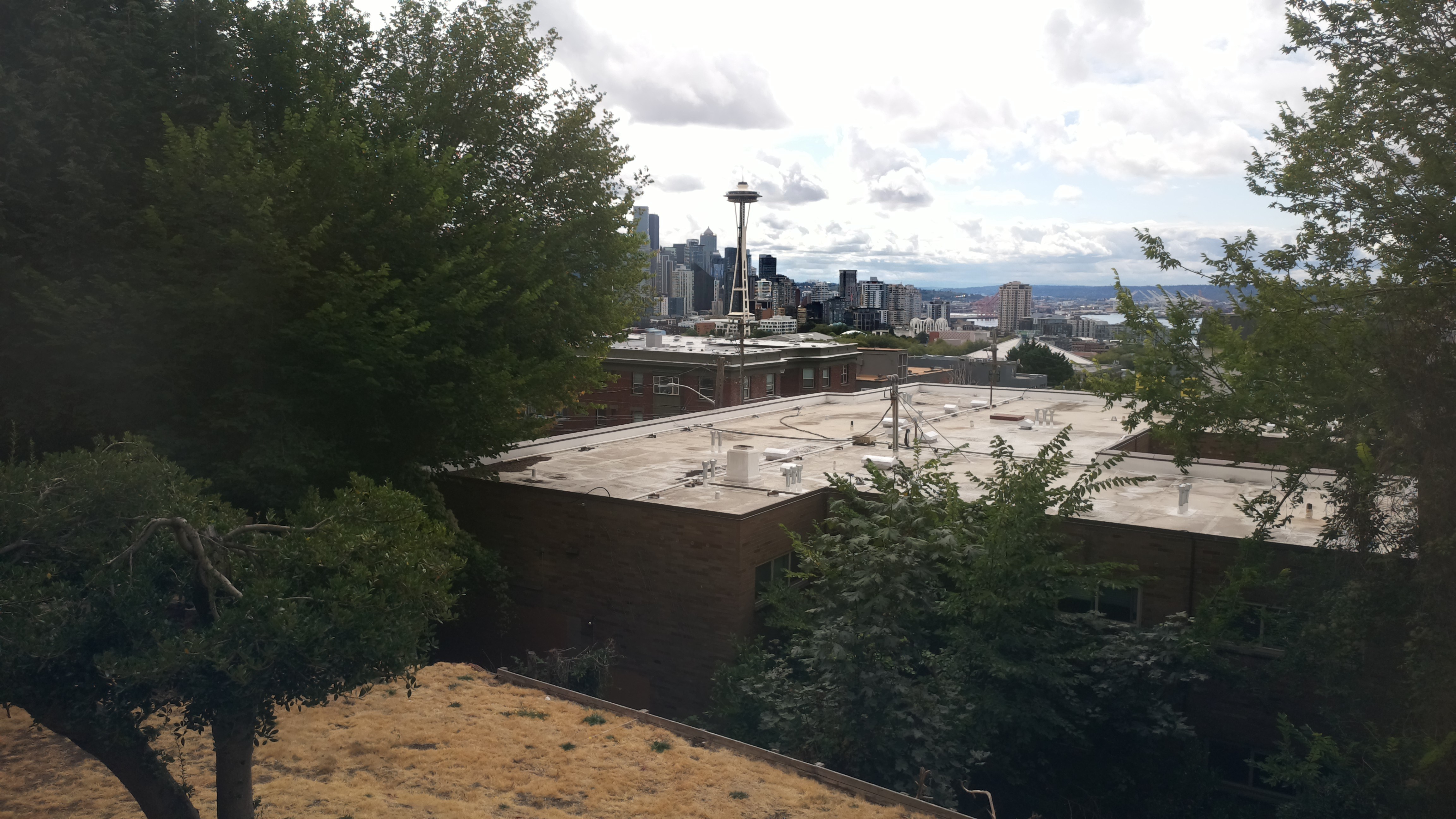 Mt. Rainier from Seattle — Sunday, August 23