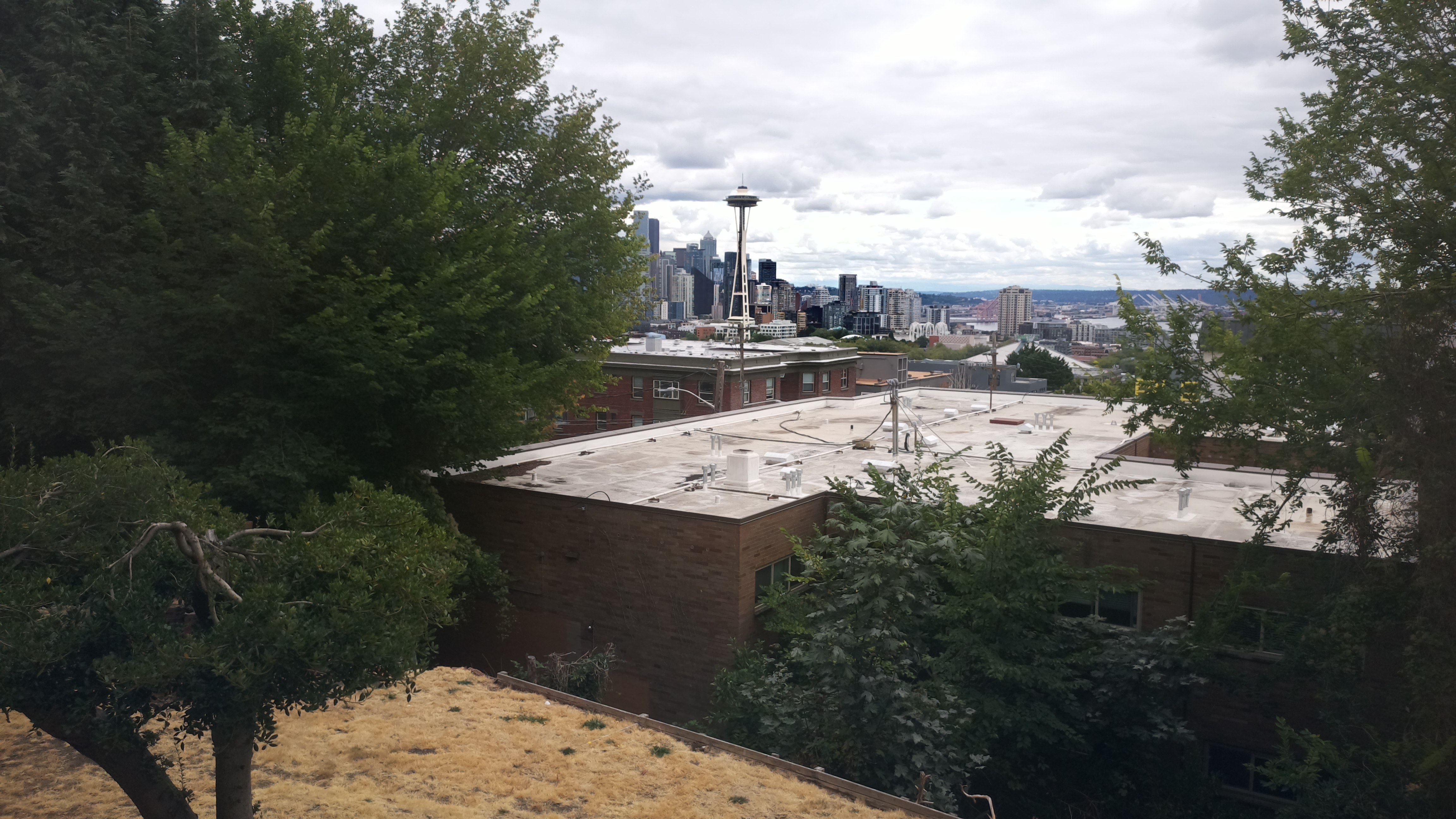 Mt. Rainier from Seattle — Sunday, August 23