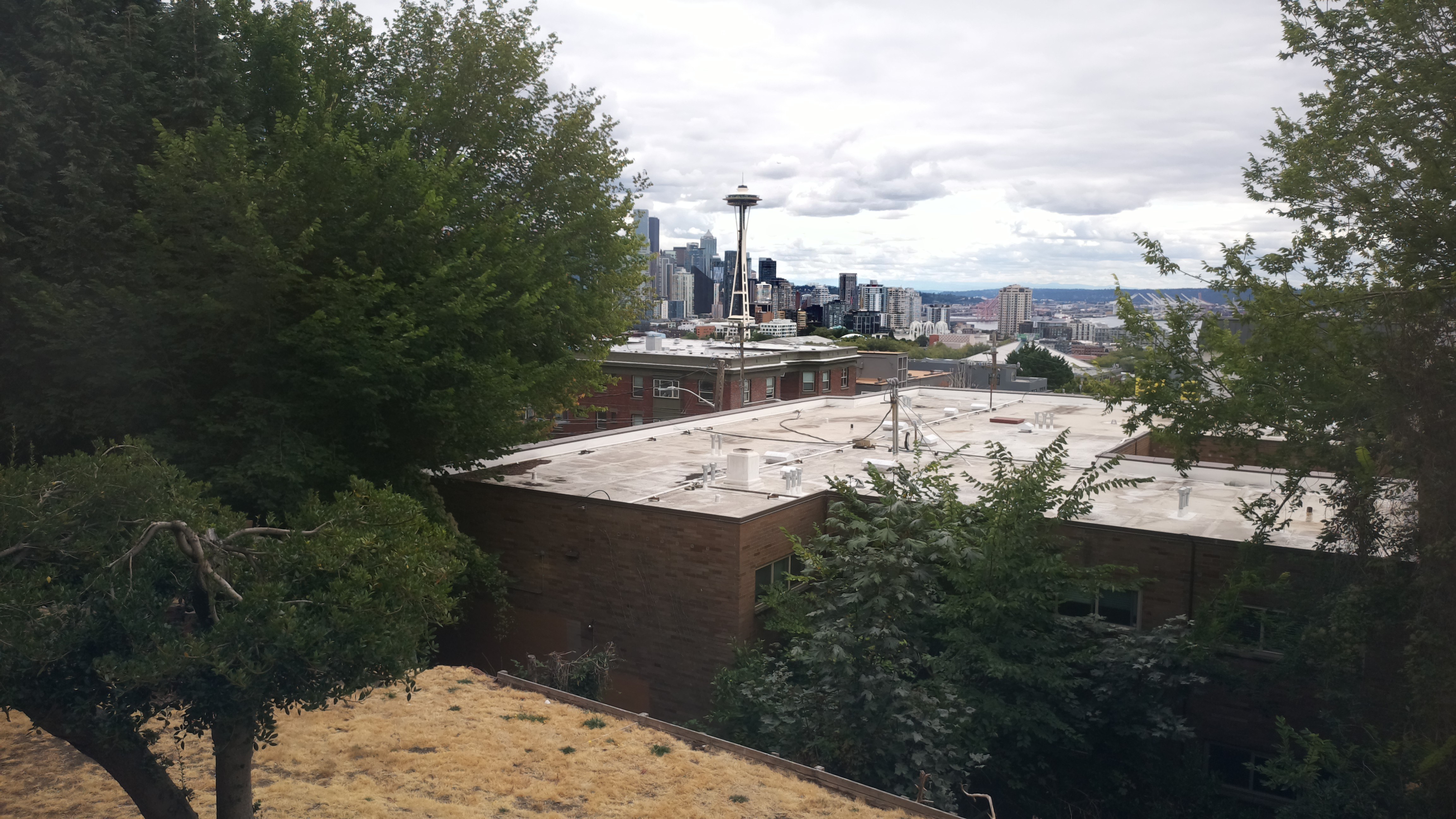 Mt. Rainier from Seattle — Sunday, August 23