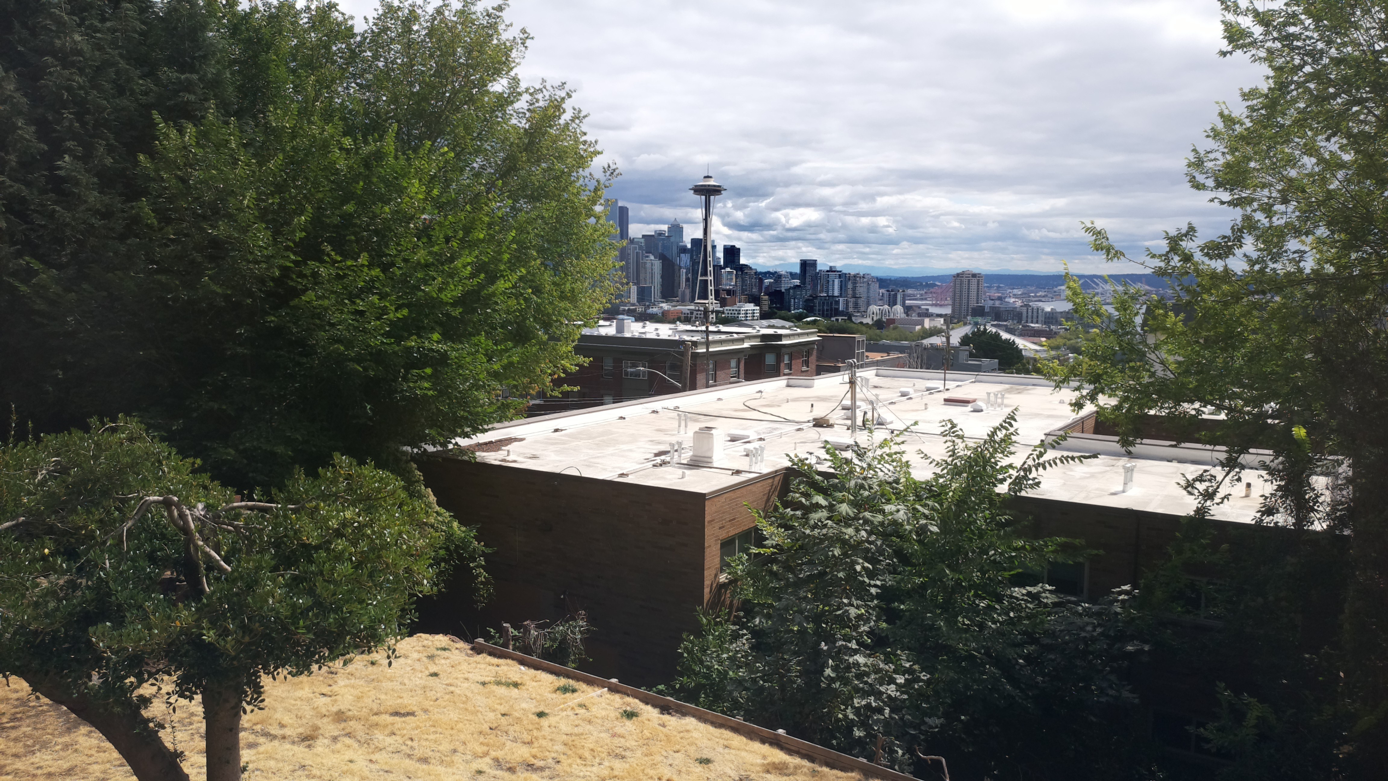 Mt. Rainier from Seattle — Sunday, August 23