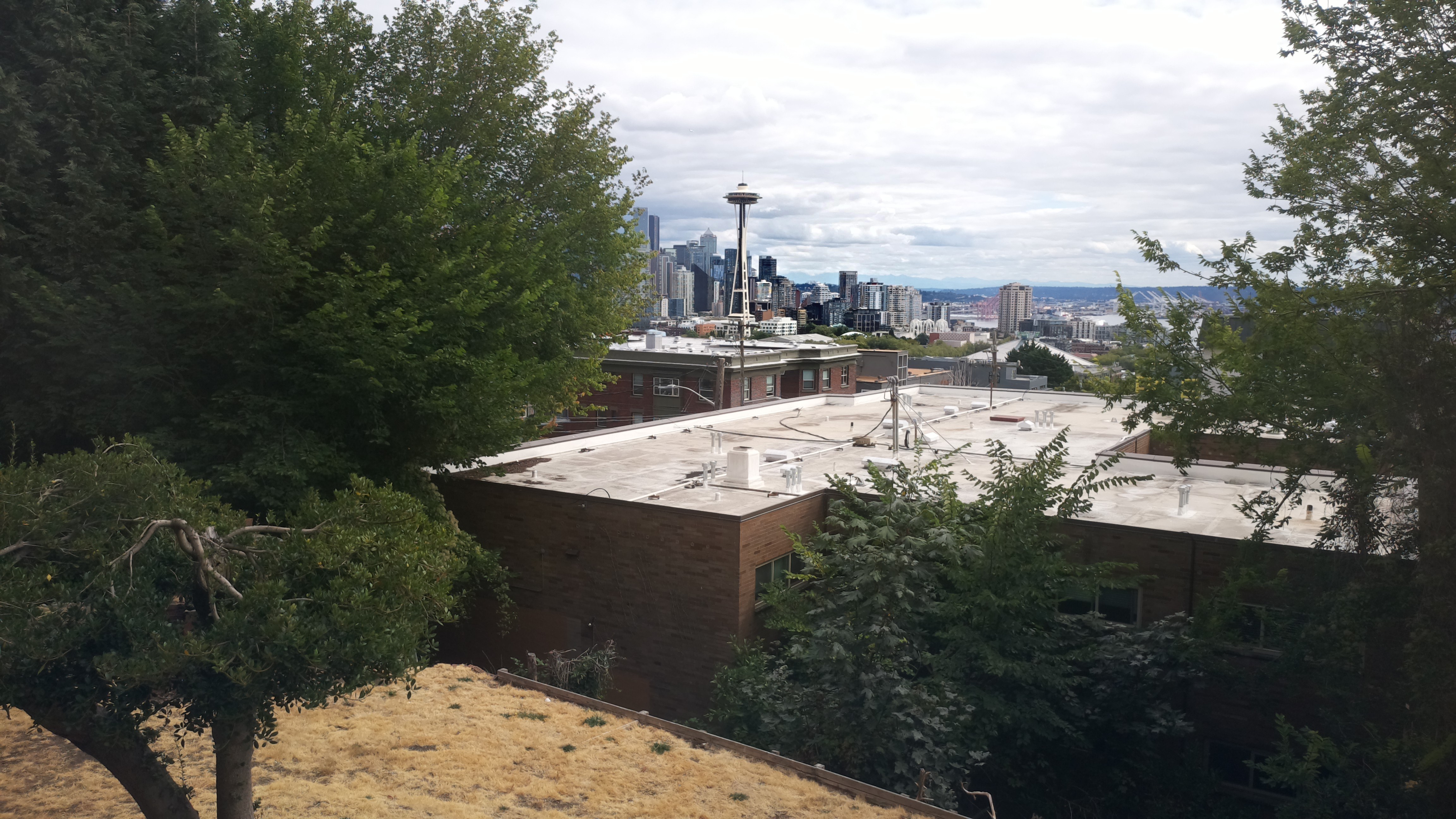 Mt. Rainier from Seattle — Sunday, August 23