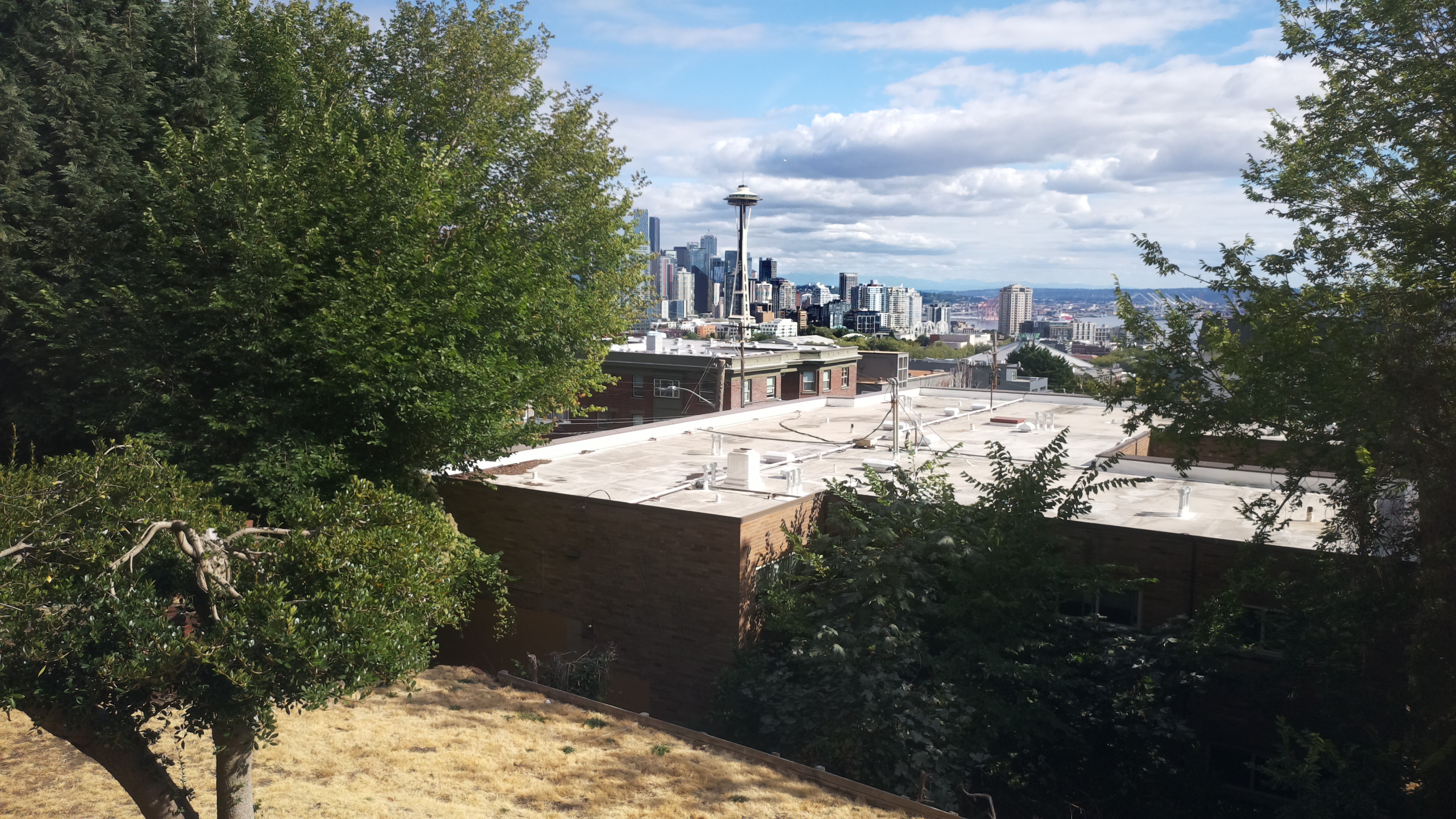 Mt. Rainier from Seattle — Sunday, August 23