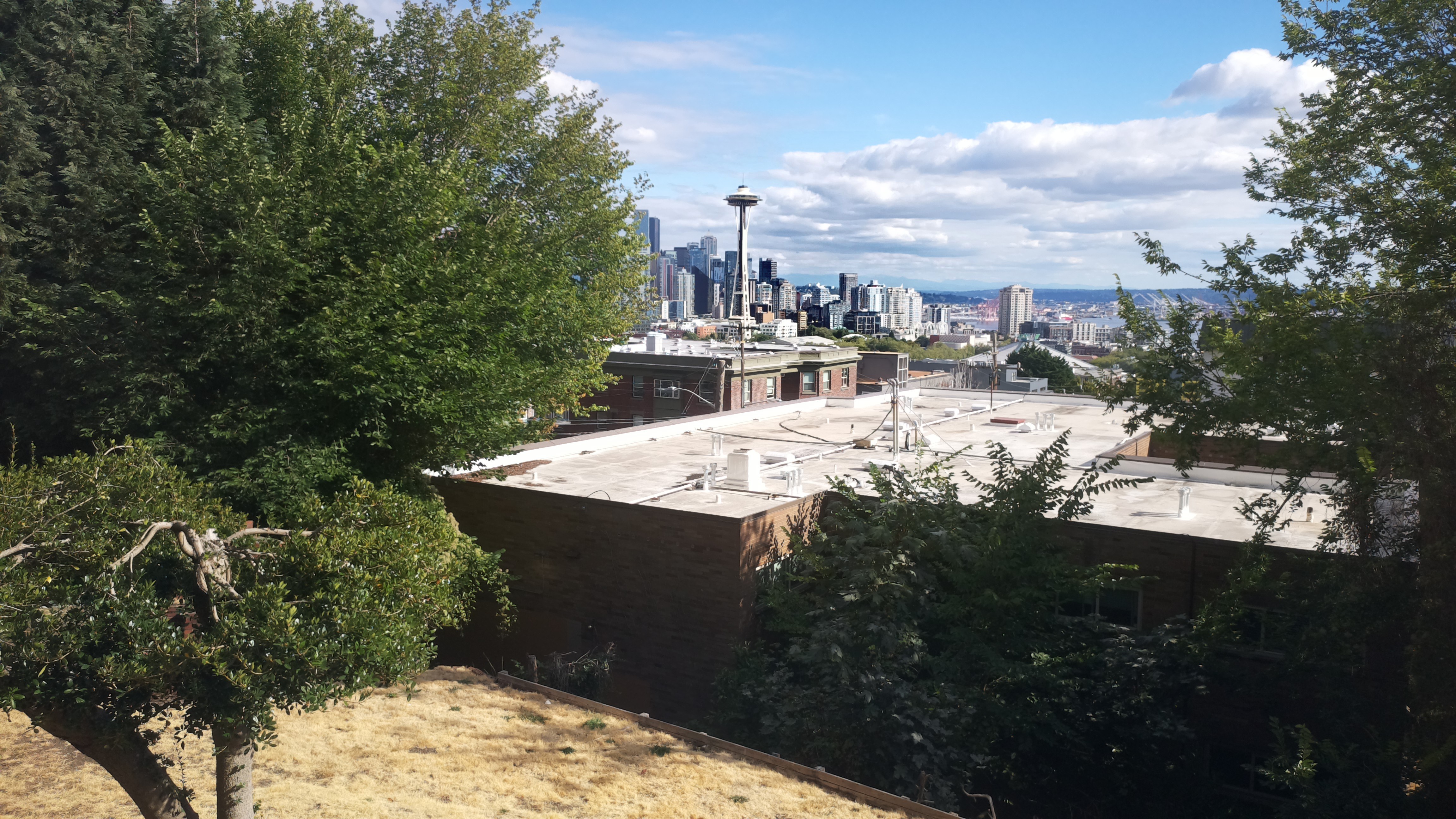 Mt. Rainier from Seattle — Sunday, August 23