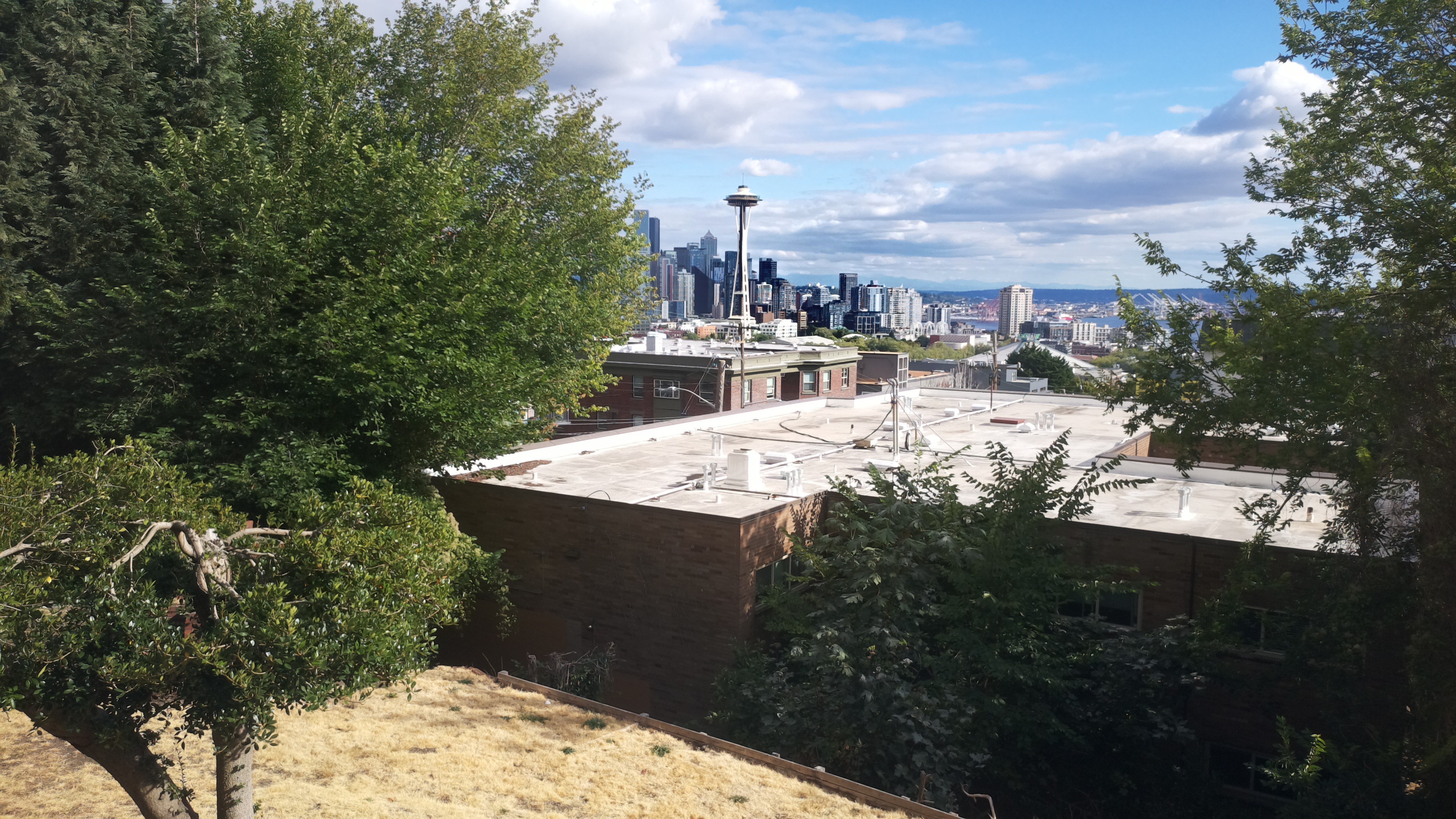 Mt. Rainier from Seattle — Sunday, August 23