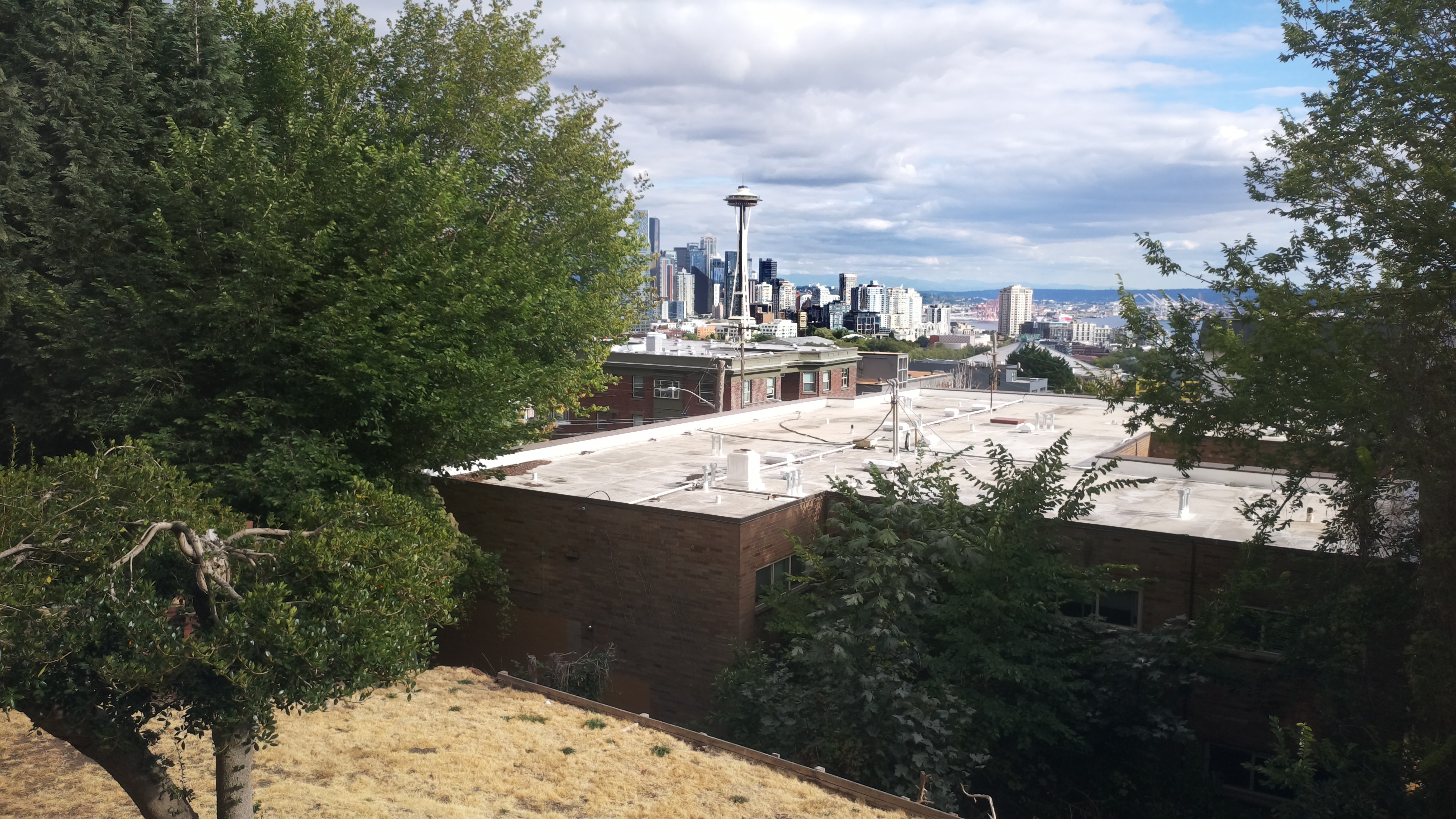 Mt. Rainier from Seattle — Sunday, August 23