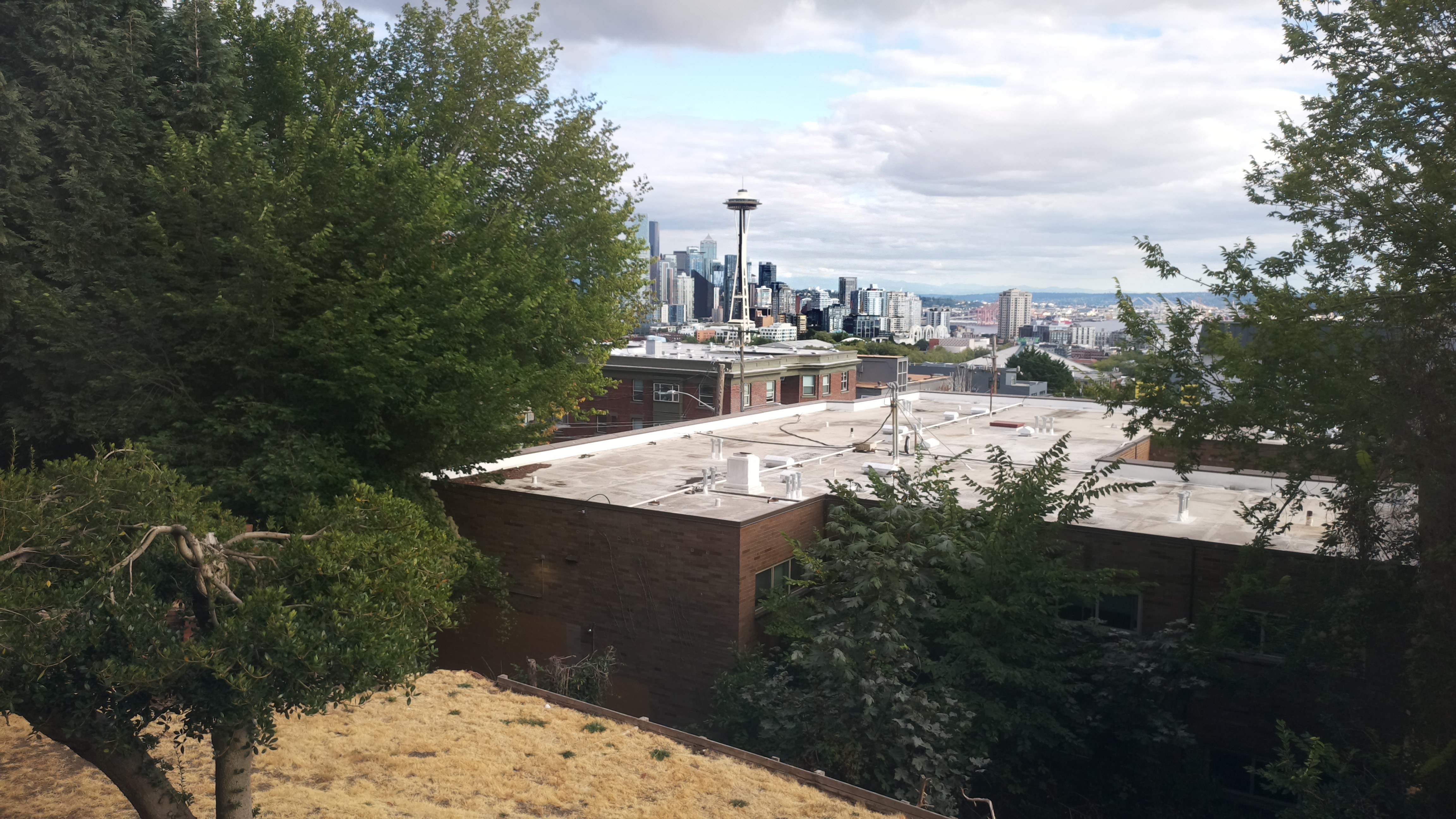 Mt. Rainier from Seattle — Sunday, August 23