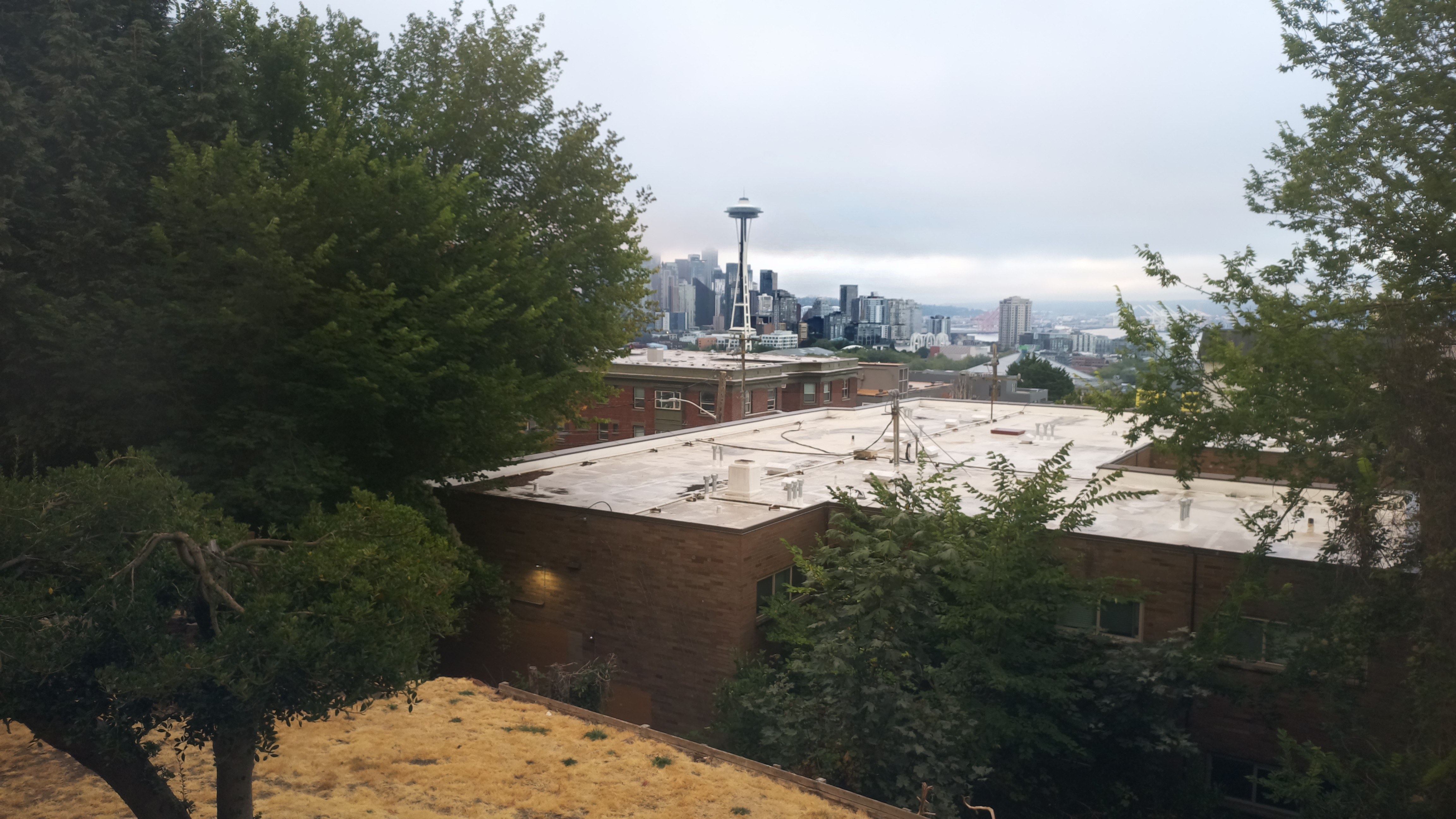 Mt. Rainier from Seattle — Monday, August 24