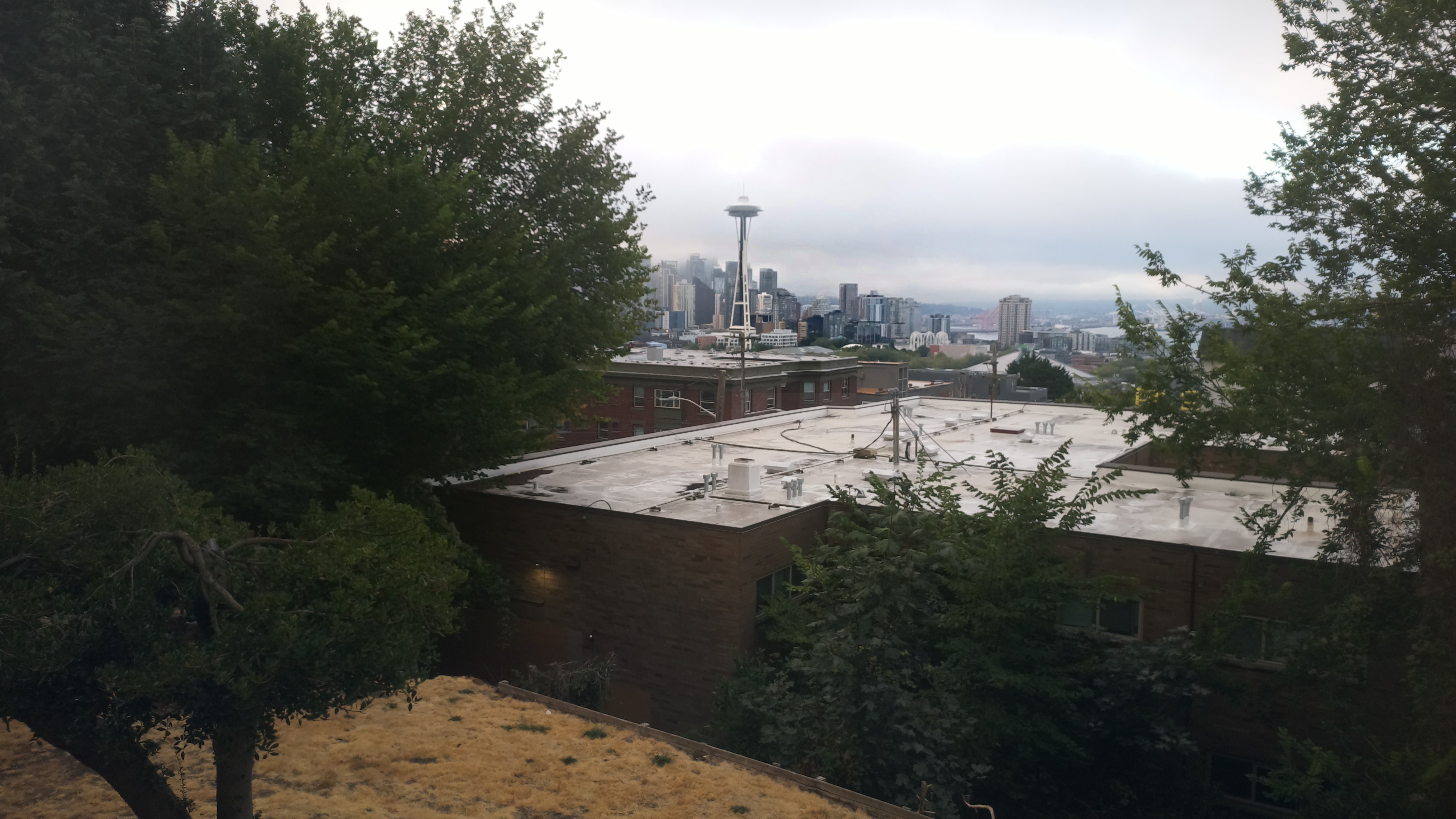 Mt. Rainier from Seattle — Monday, August 24