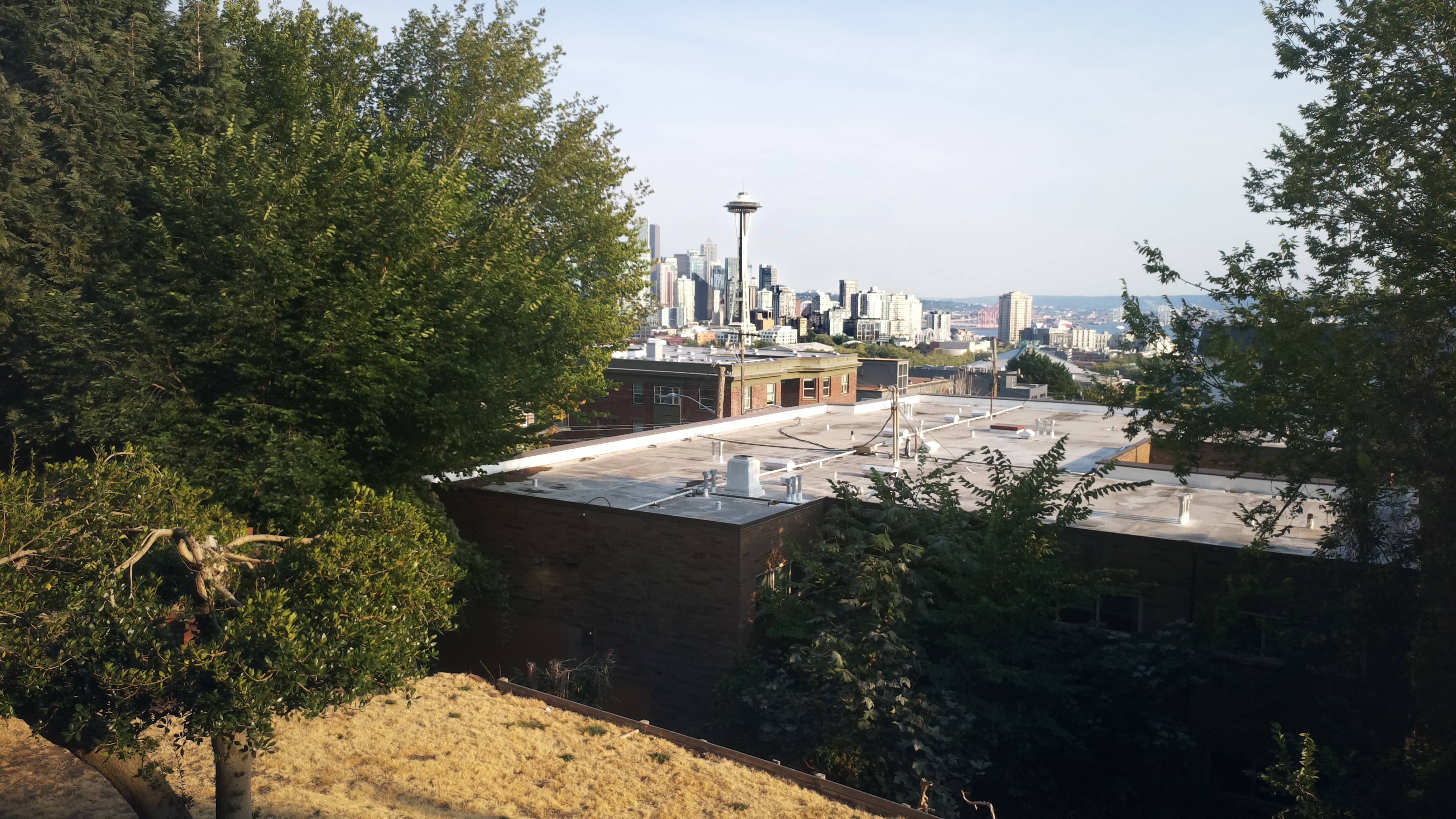 Mt. Rainier from Seattle — Monday, August 24