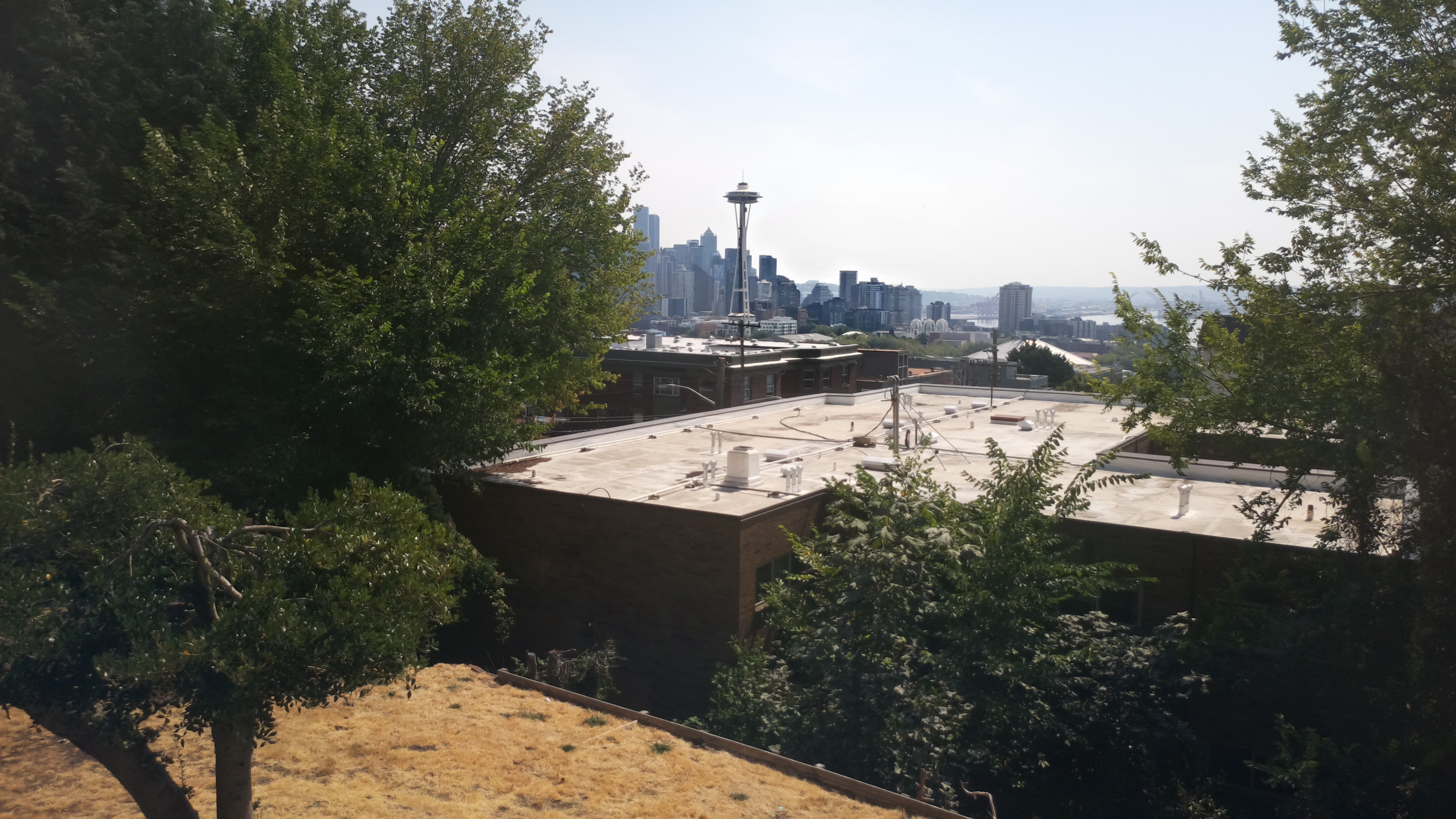 Mt. Rainier from Seattle — Tuesday, August 25