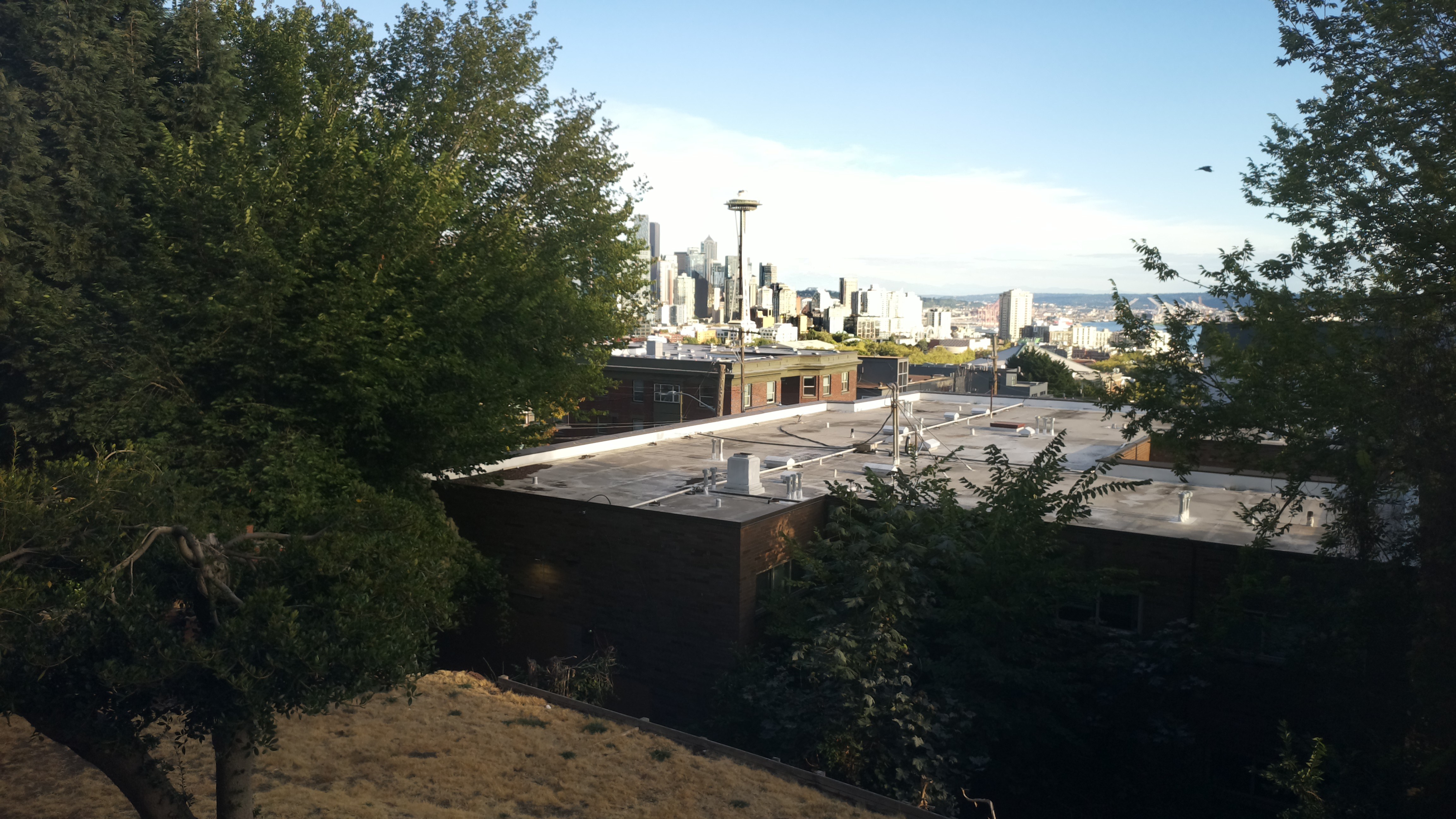 Mt. Rainier from Seattle — Wednesday, August 26