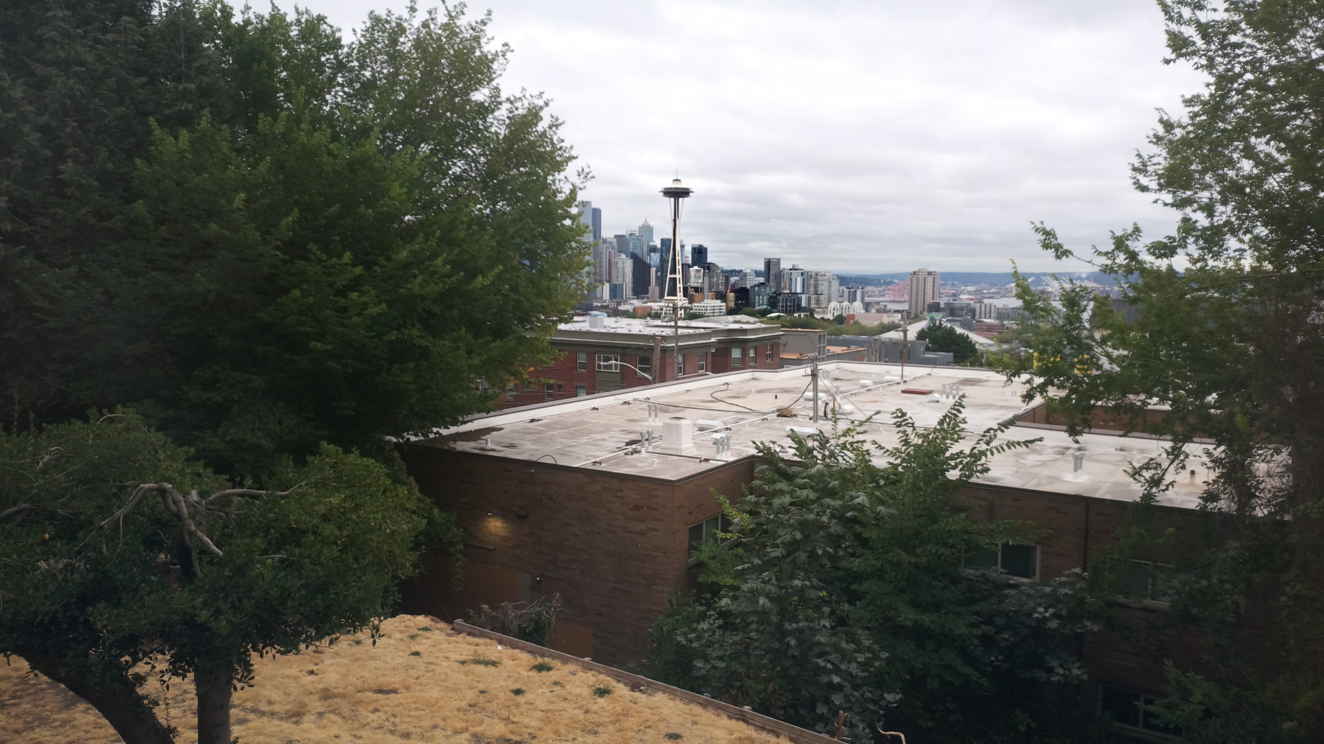 Mt. Rainier from Seattle — Thursday, August 27