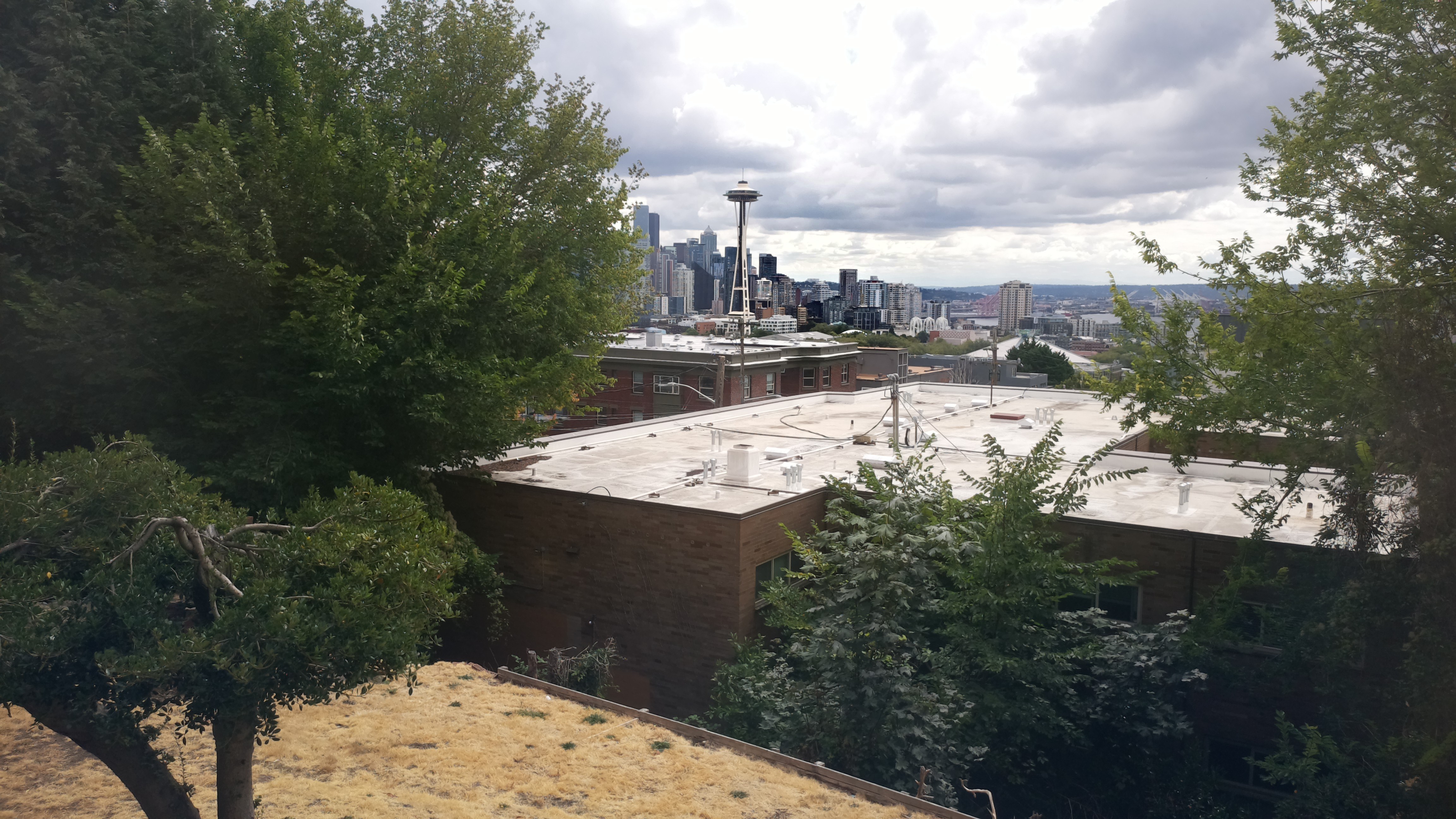 Mt. Rainier from Seattle — Friday, August 28