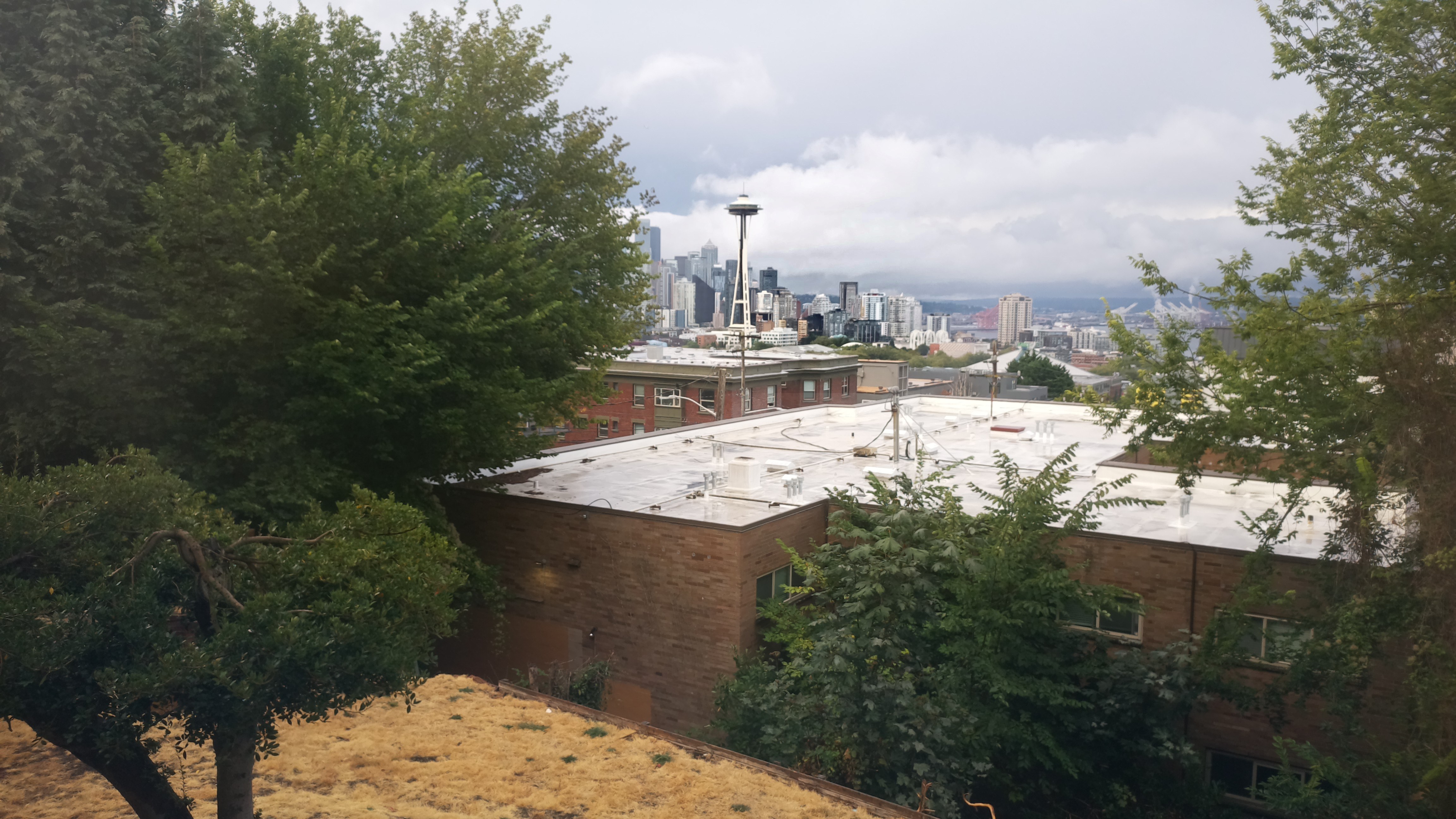 Mt. Rainier from Seattle — Saturday, August 29