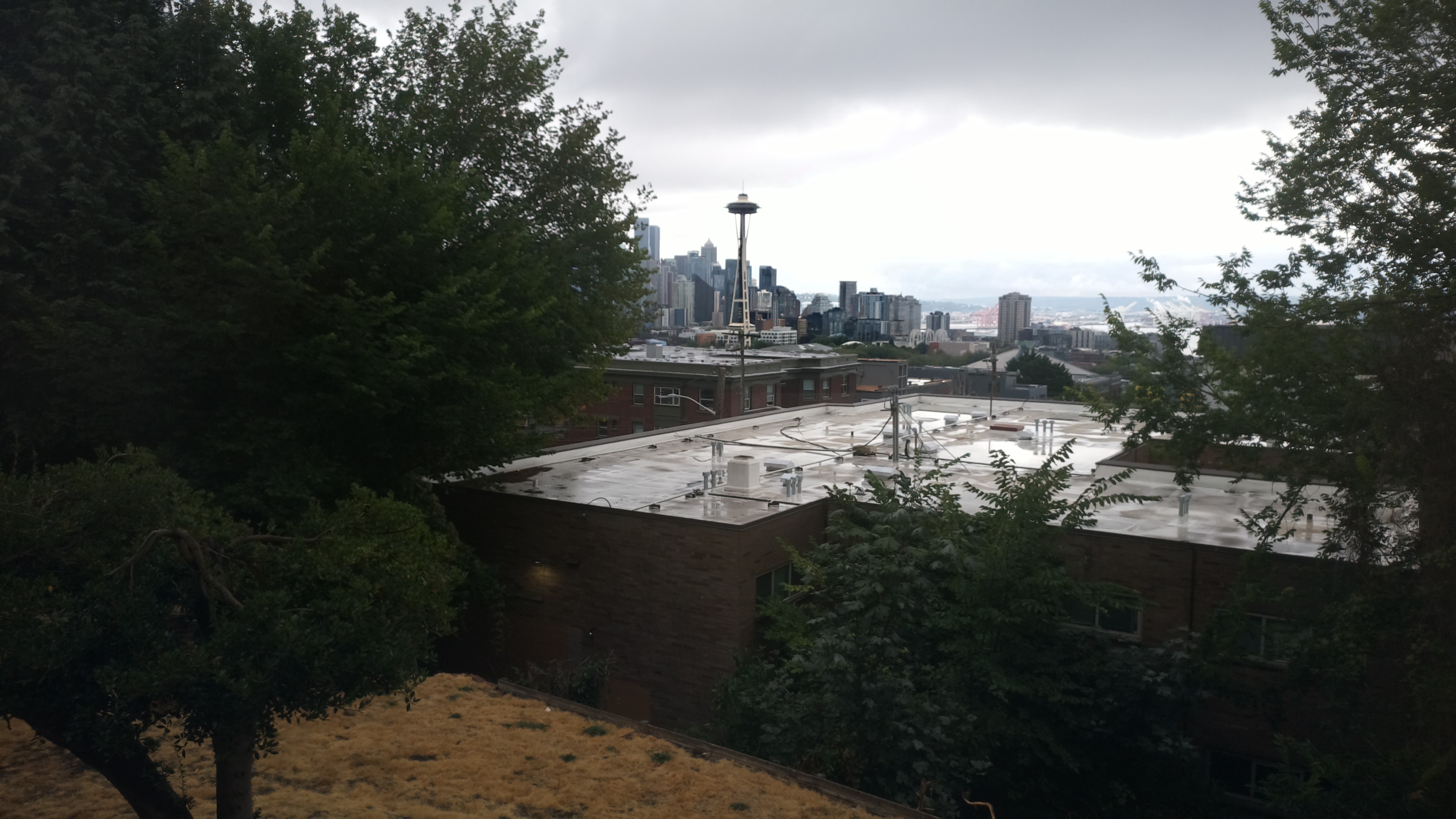 Mt. Rainier from Seattle — Saturday, August 29