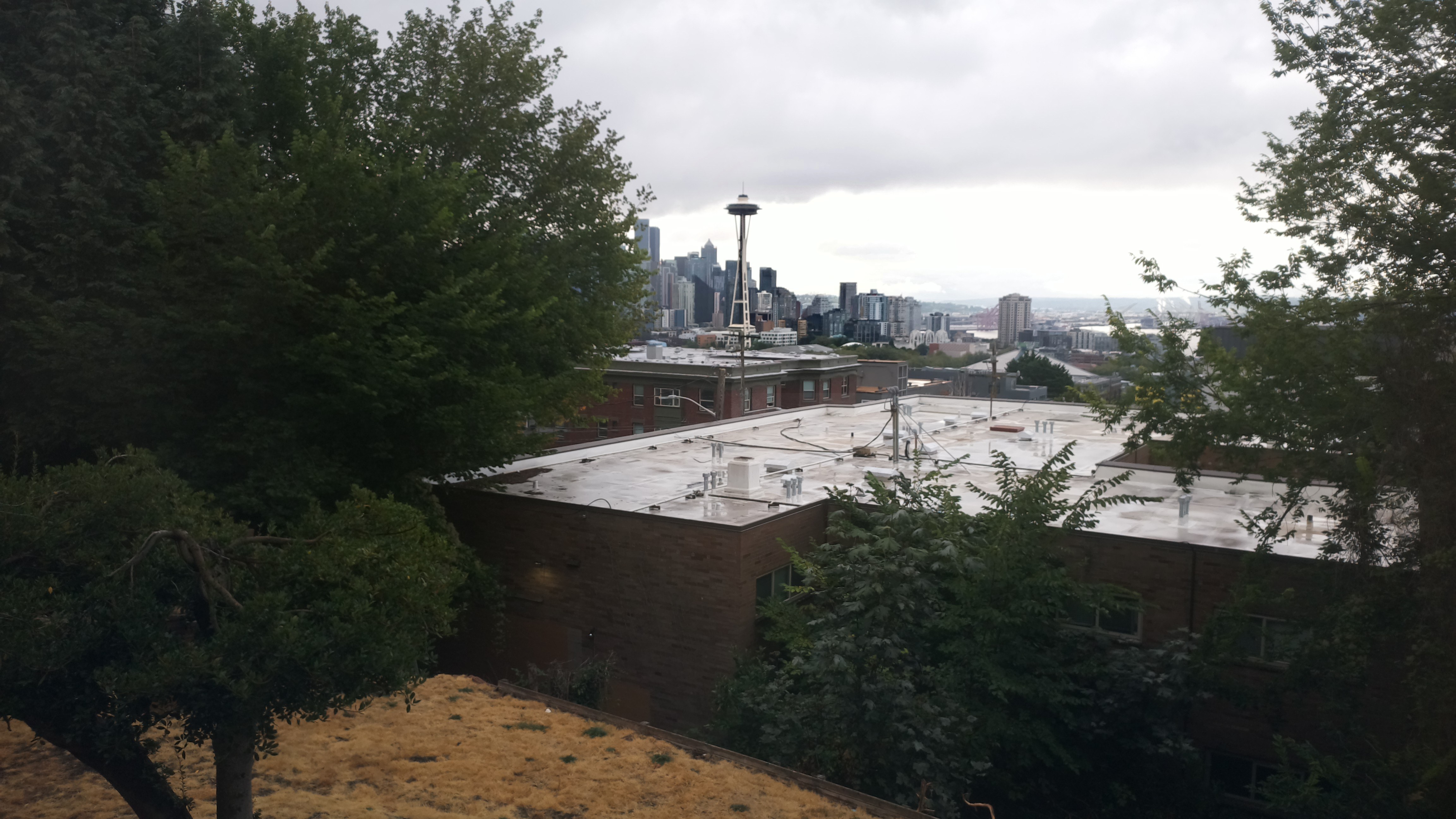 Mt. Rainier from Seattle — Saturday, August 29