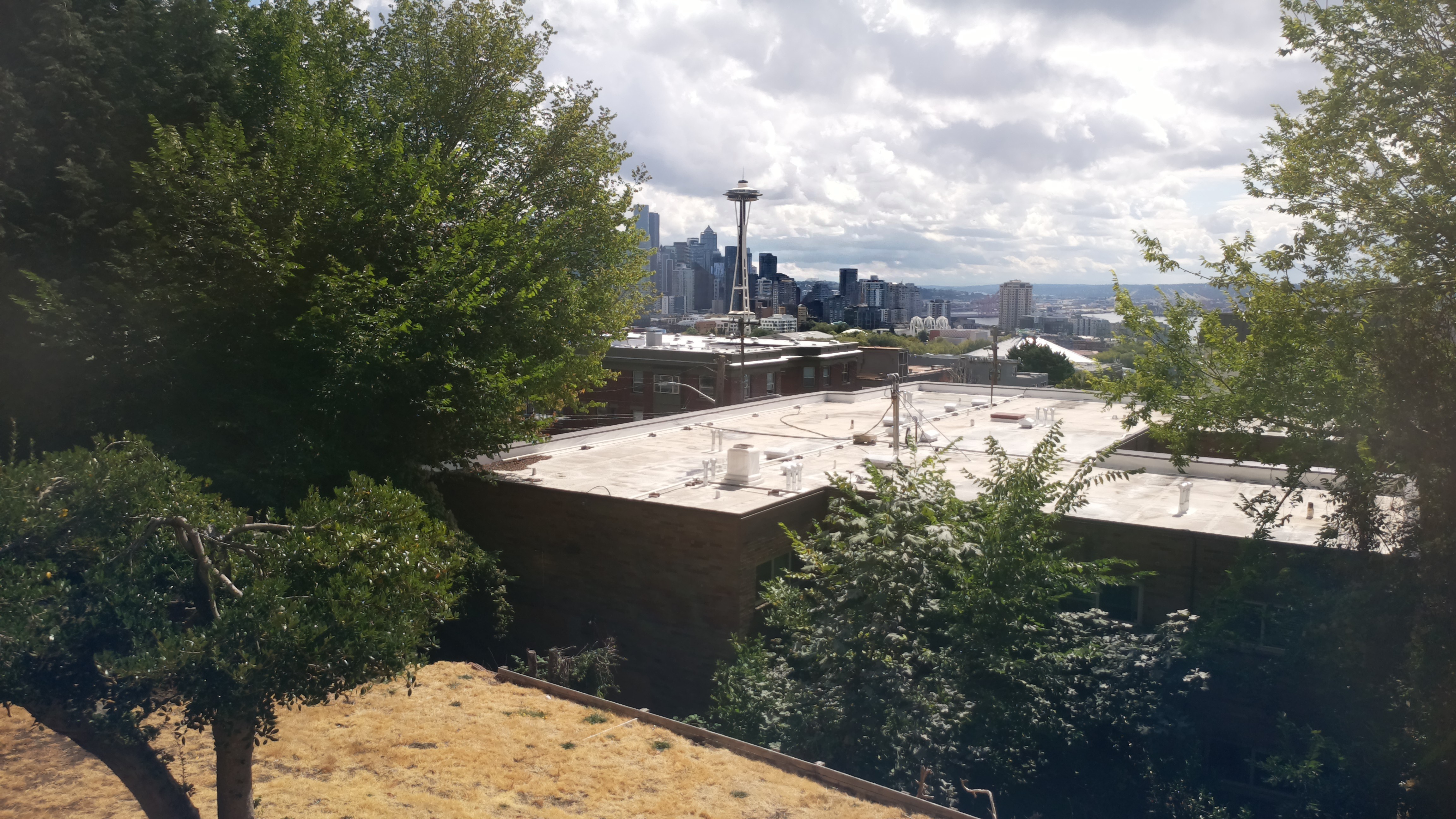 Mt. Rainier from Seattle — Saturday, August 29