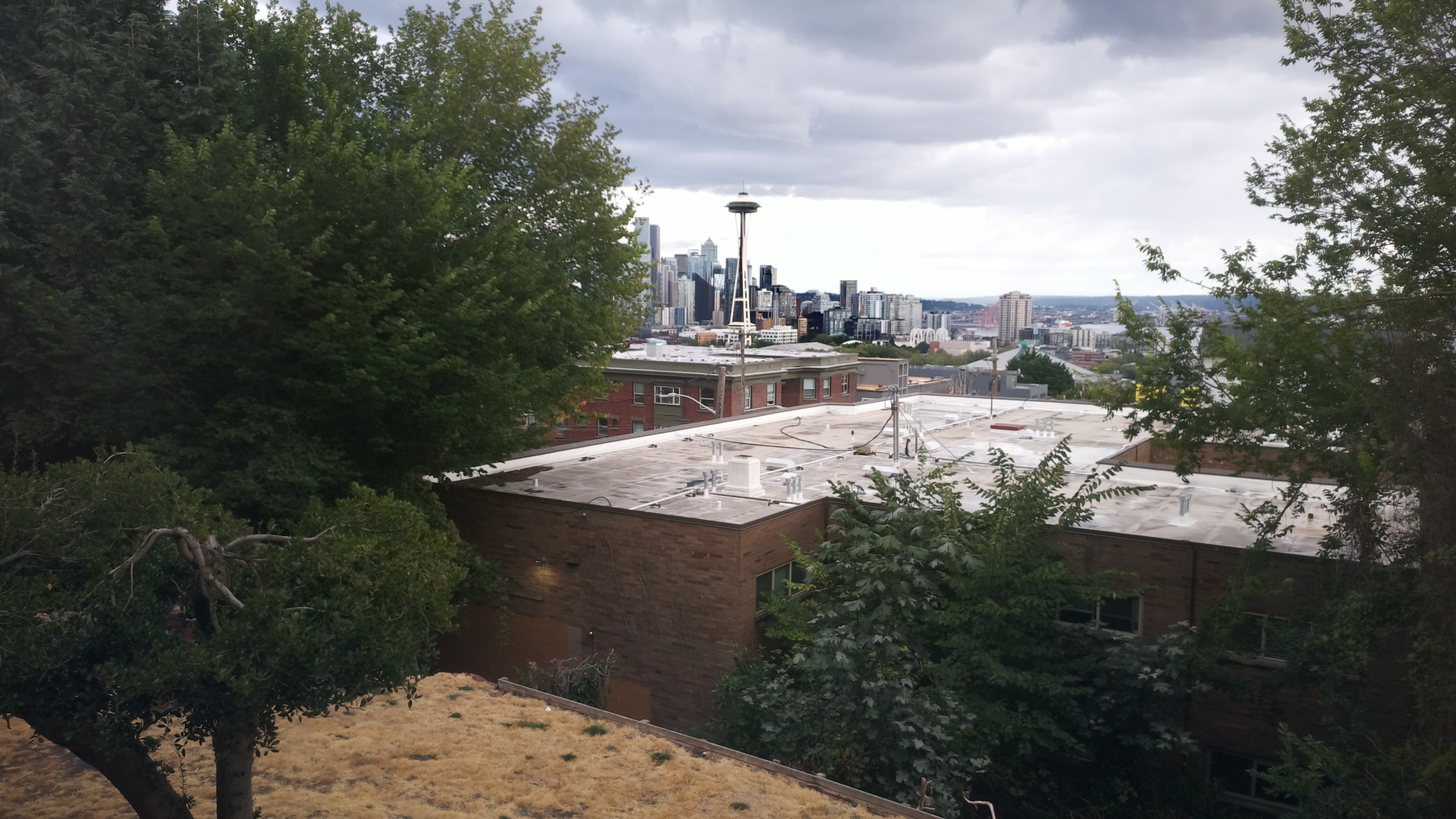 Mt. Rainier from Seattle — Saturday, August 29