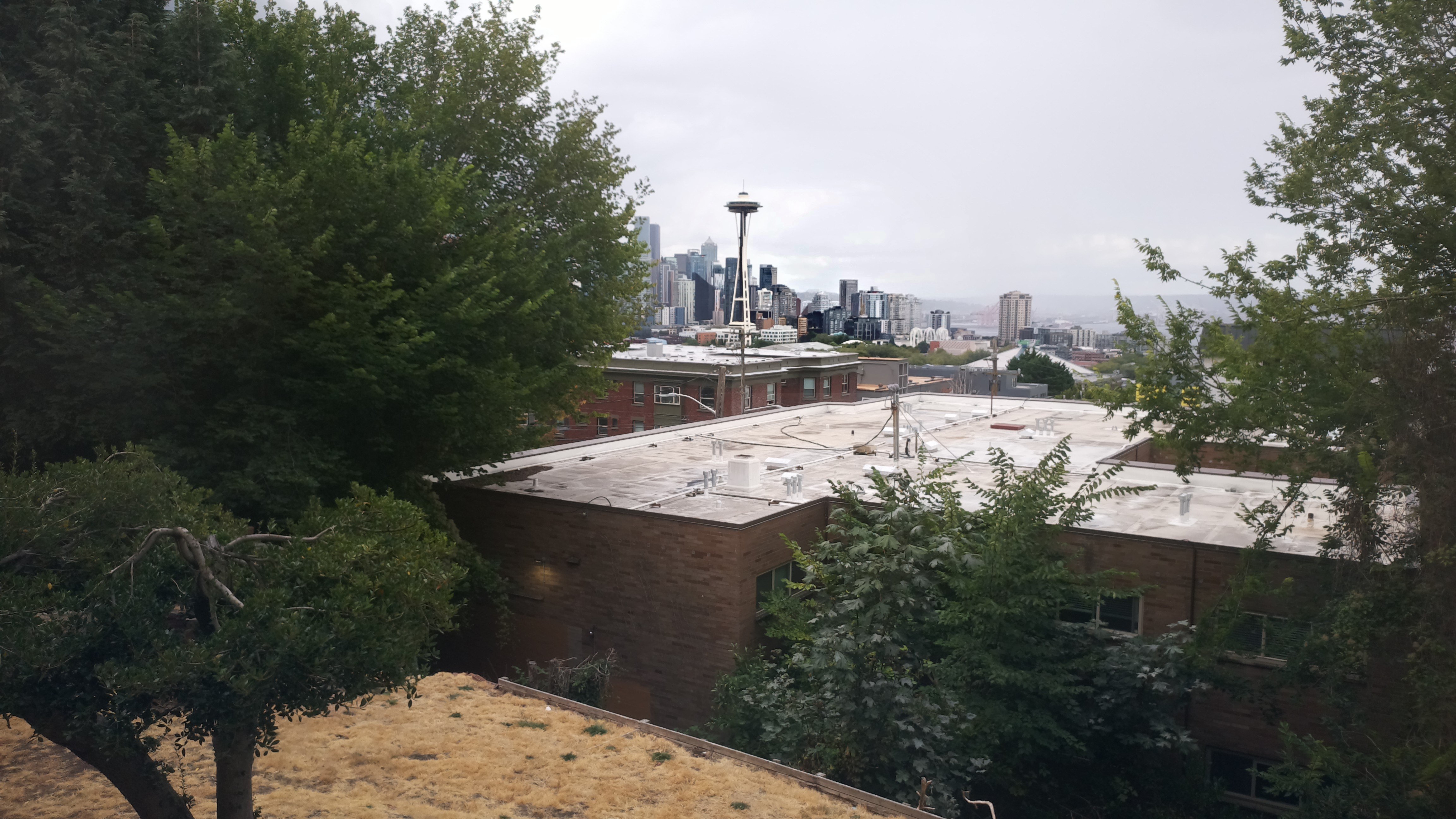 Mt. Rainier from Seattle — Saturday, August 29