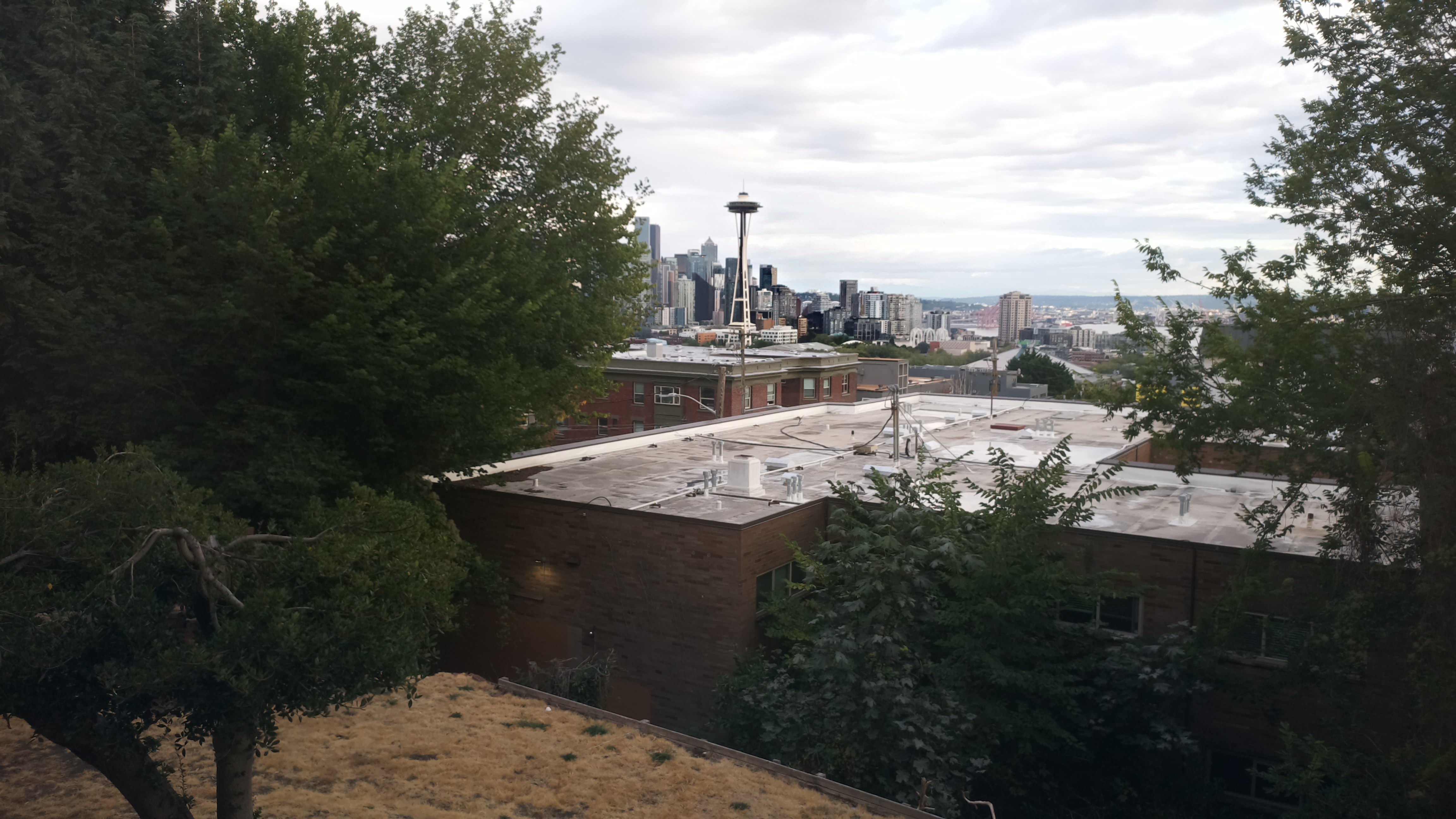 Mt. Rainier from Seattle — Saturday, August 29