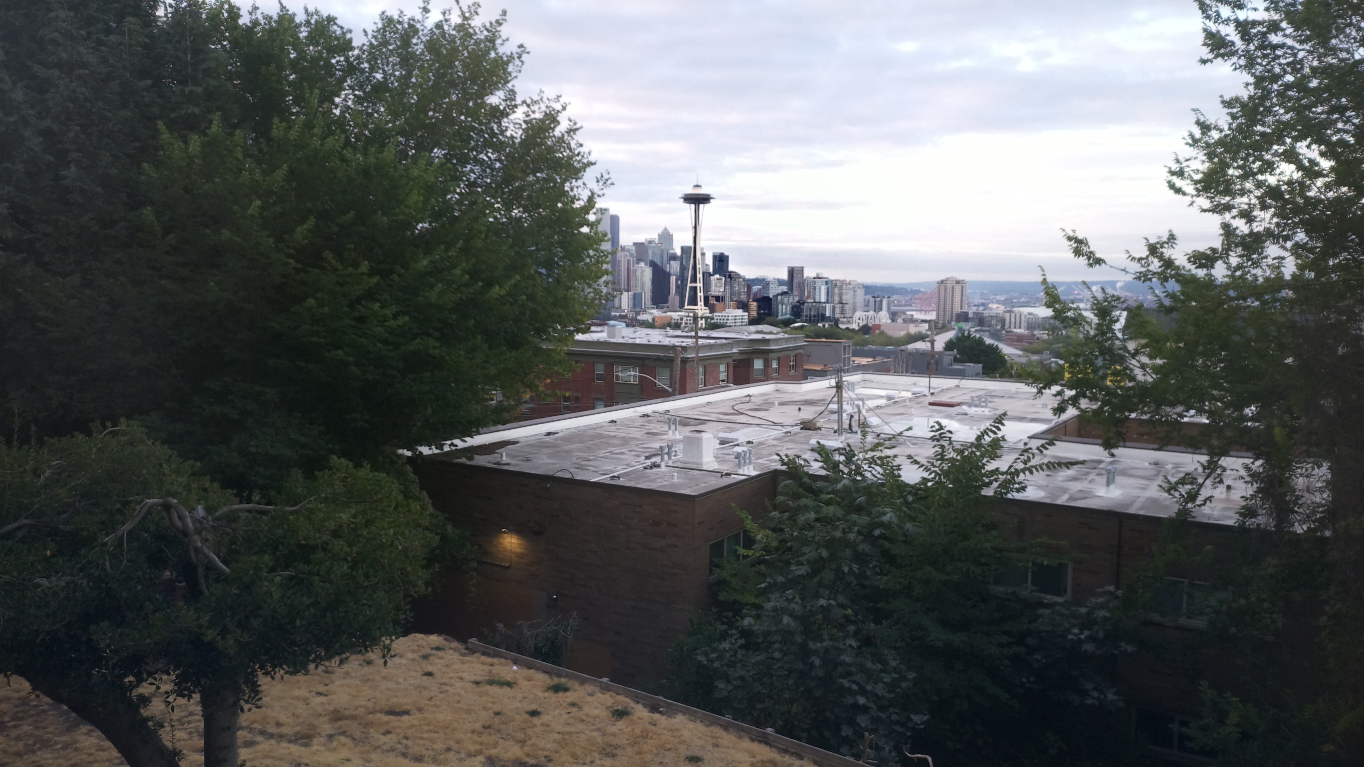 Mt. Rainier from Seattle — Sunday, August 30