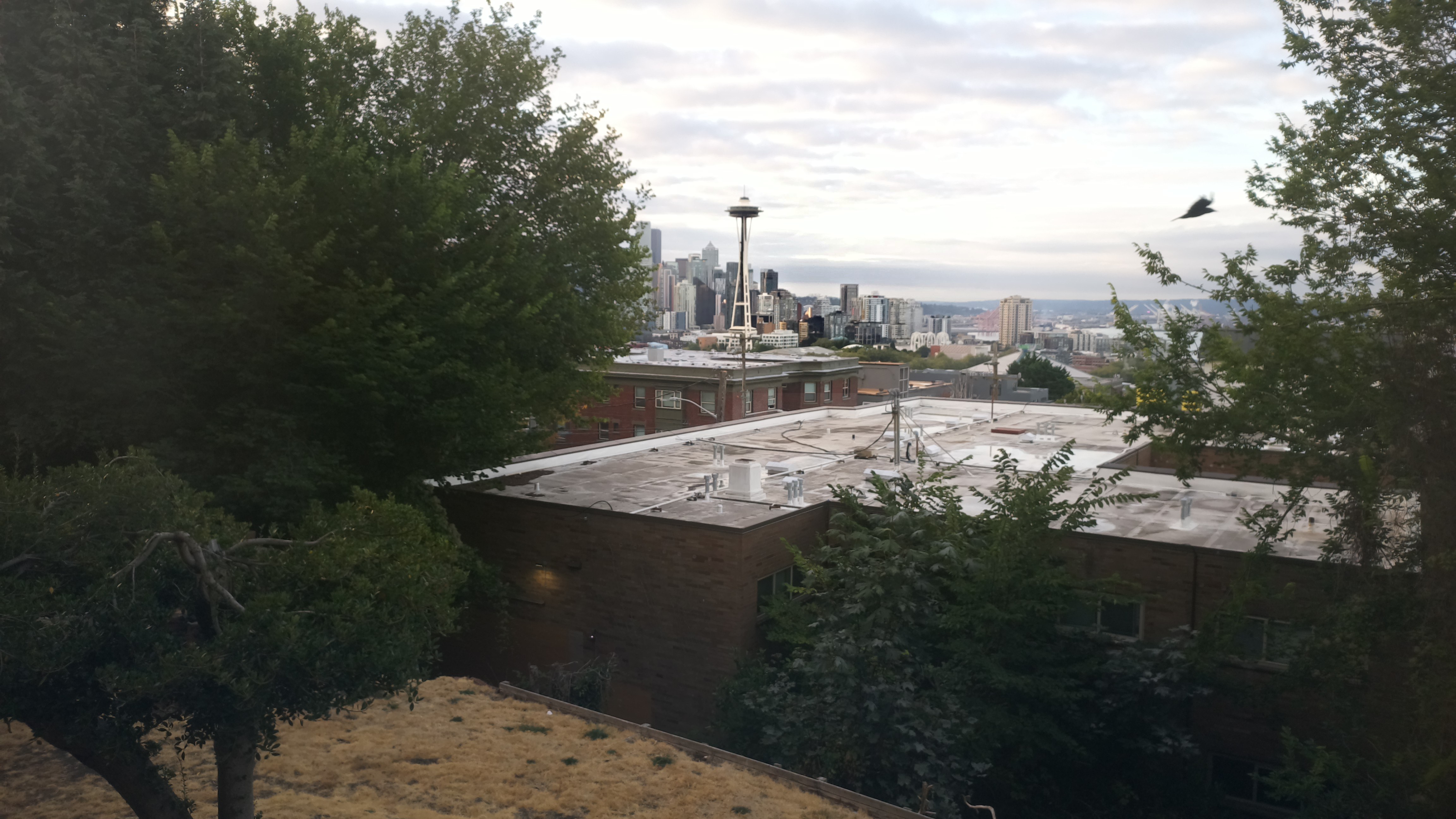 Mt. Rainier from Seattle — Sunday, August 30