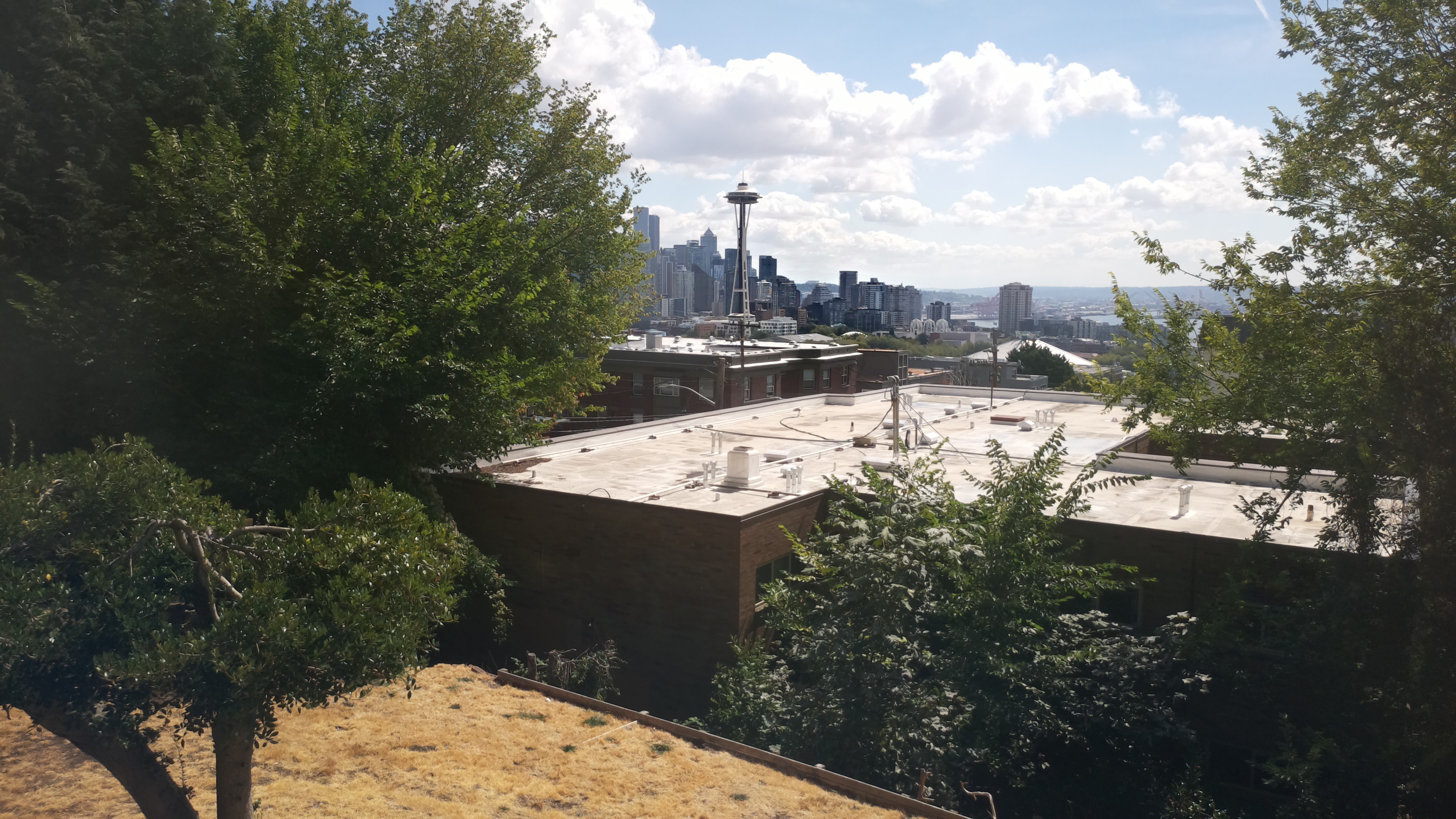 Mt. Rainier from Seattle — Sunday, August 30