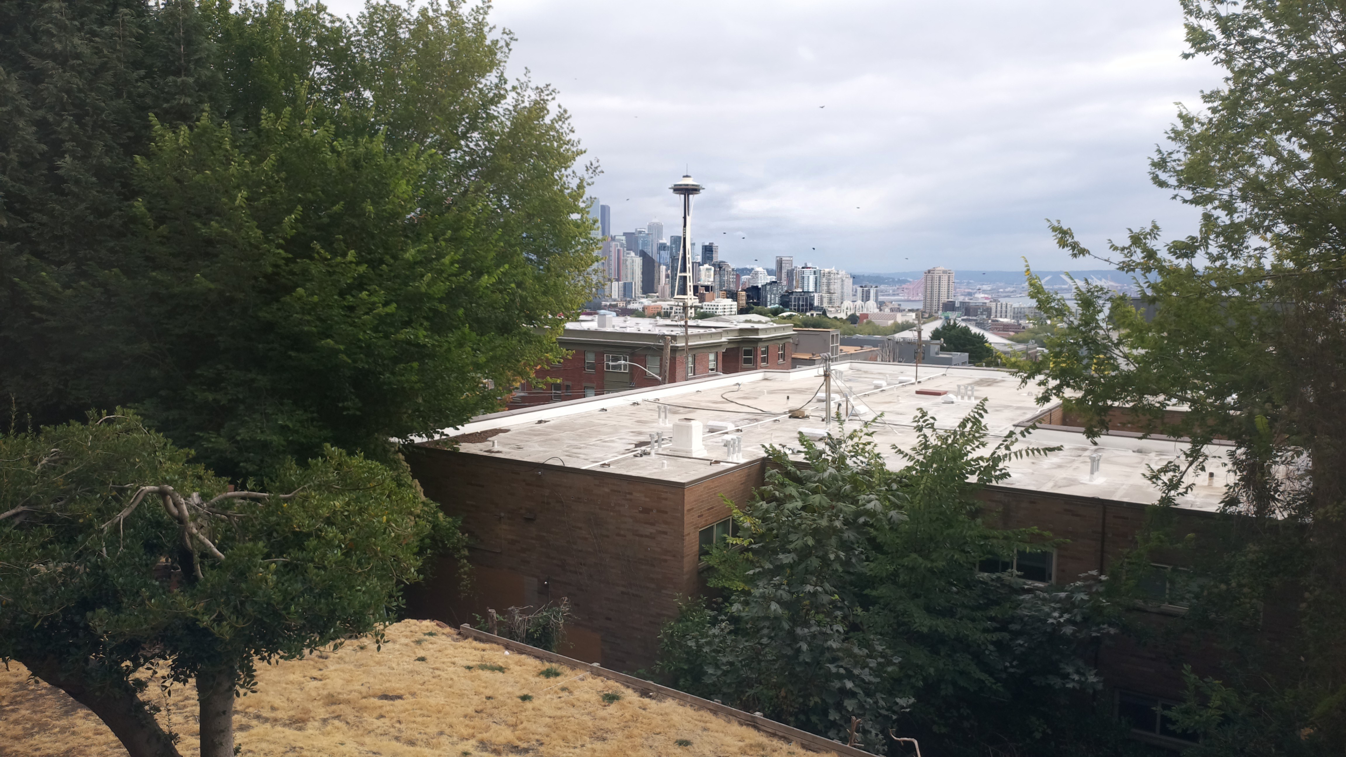 Mt. Rainier from Seattle — Tuesday, September 1