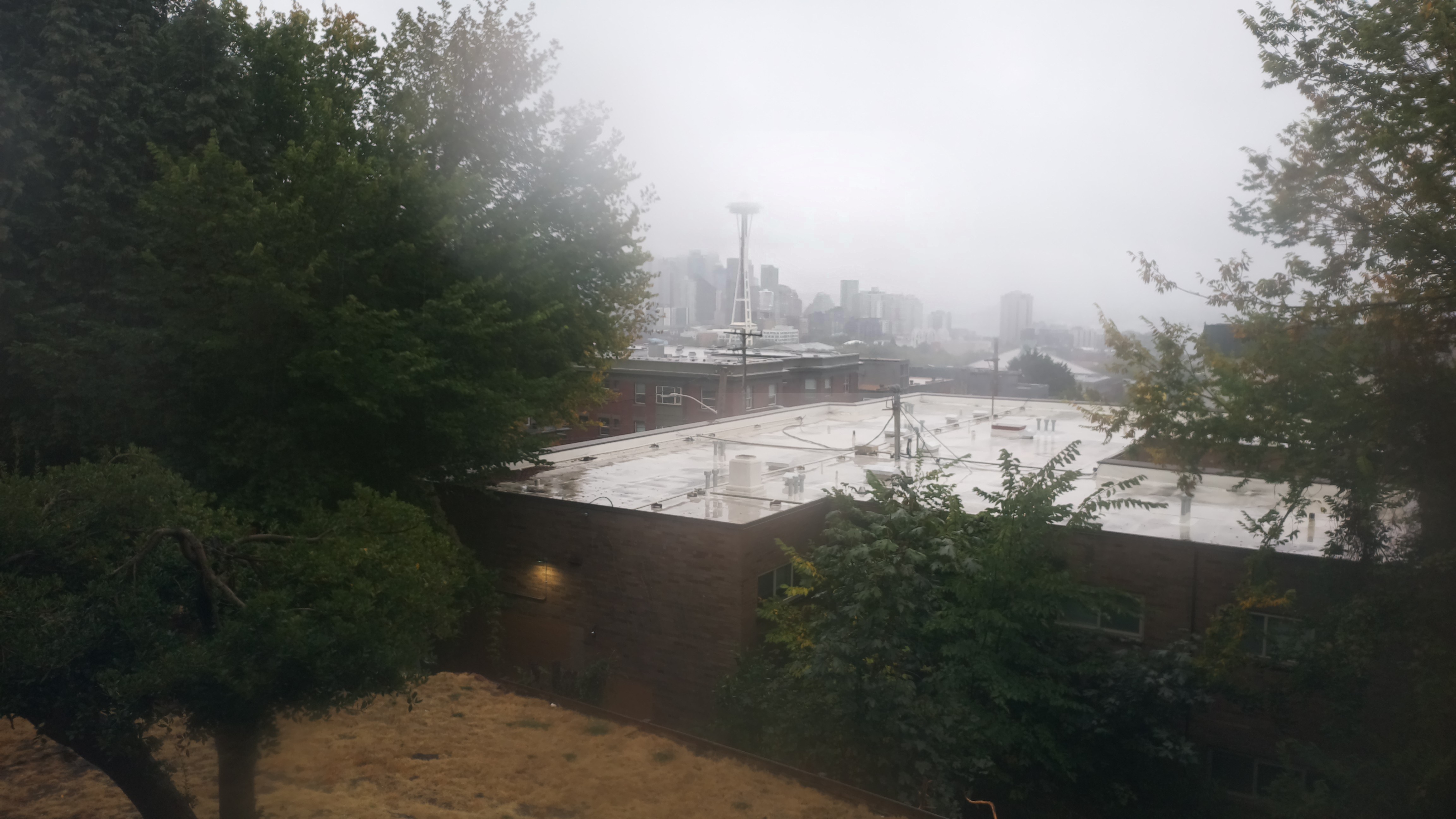 Mt. Rainier from Seattle — Sunday, September 13