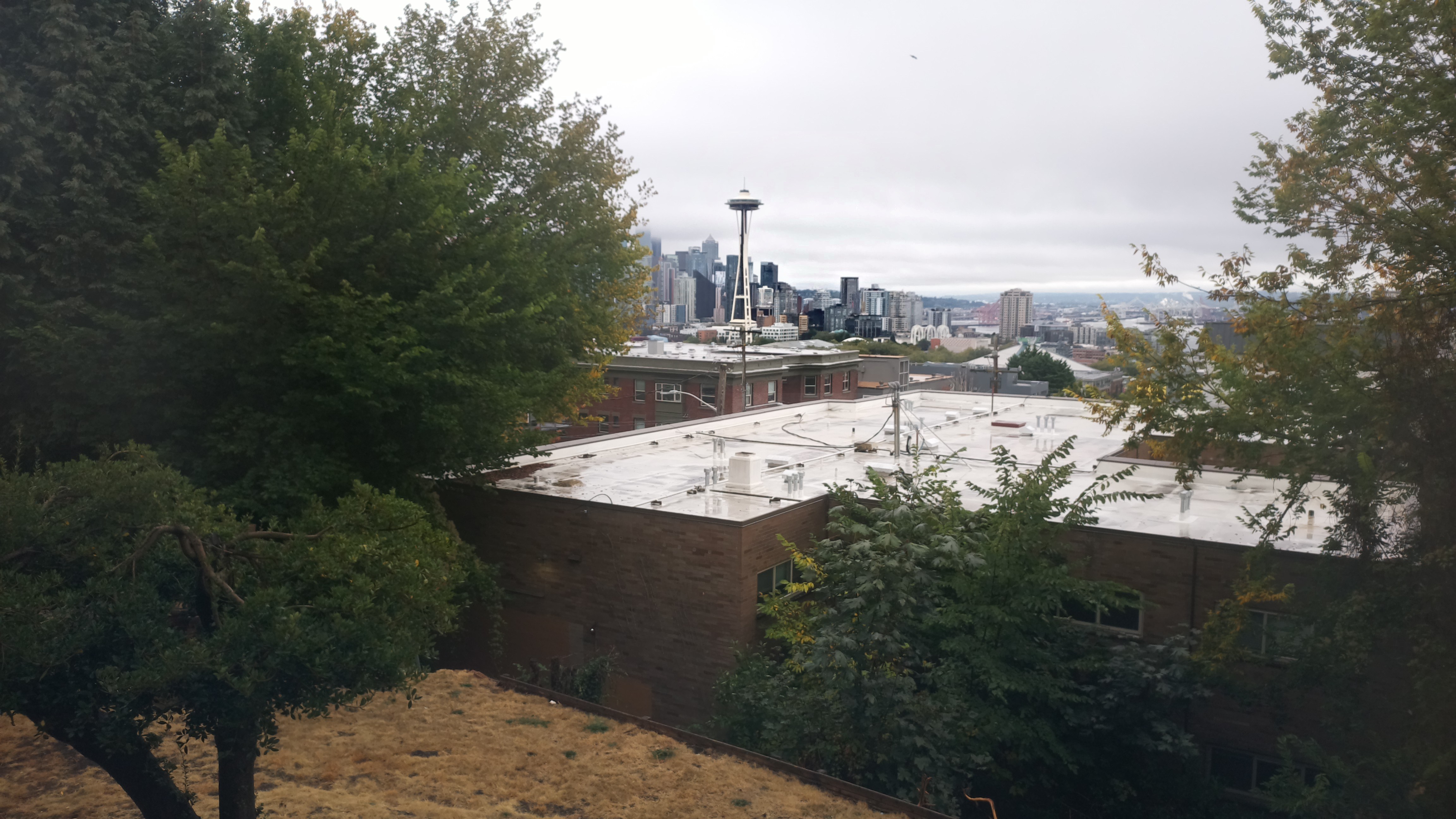 Mt. Rainier from Seattle — Sunday, September 13