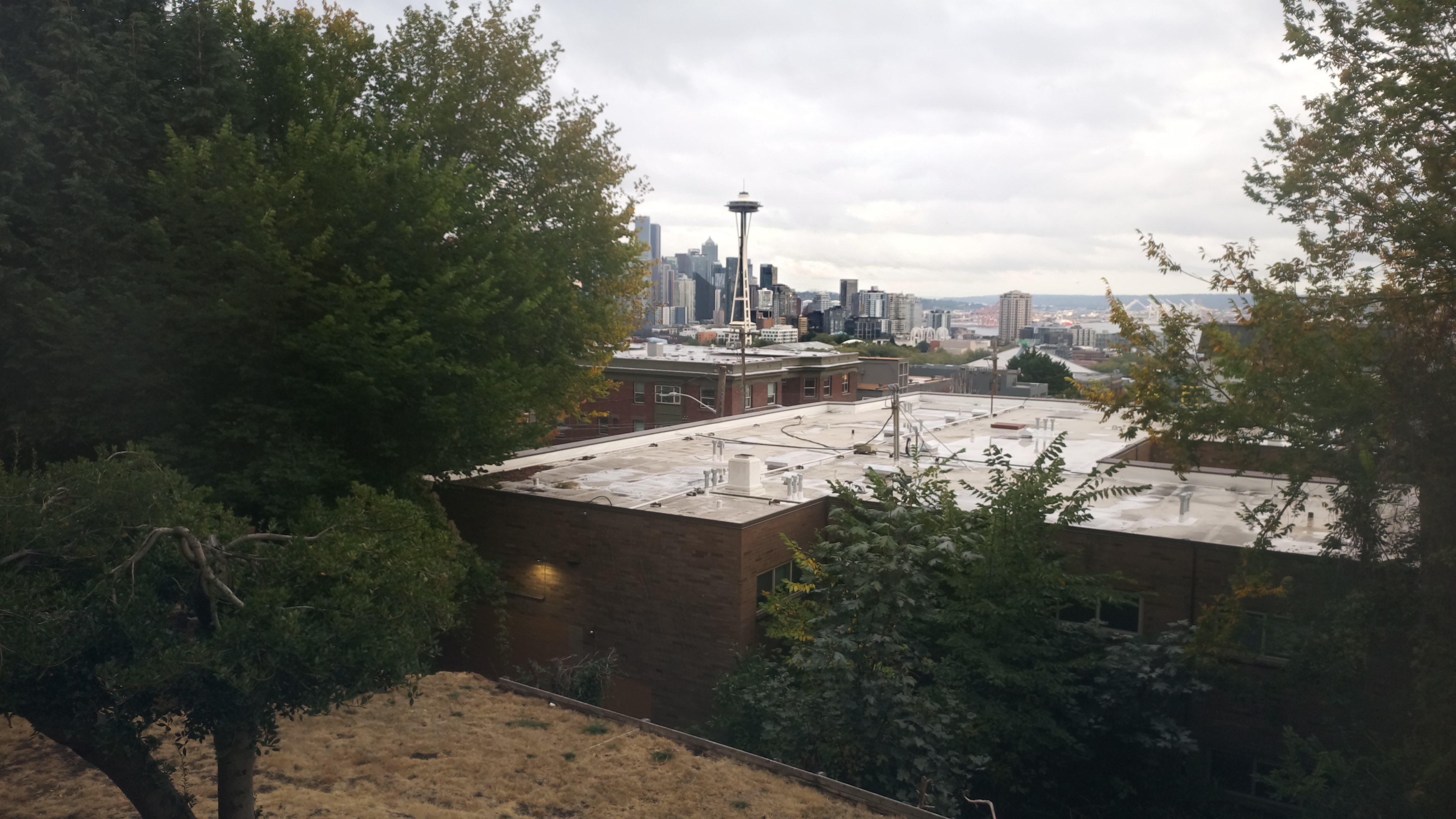 Mt. Rainier from Seattle — Sunday, September 13
