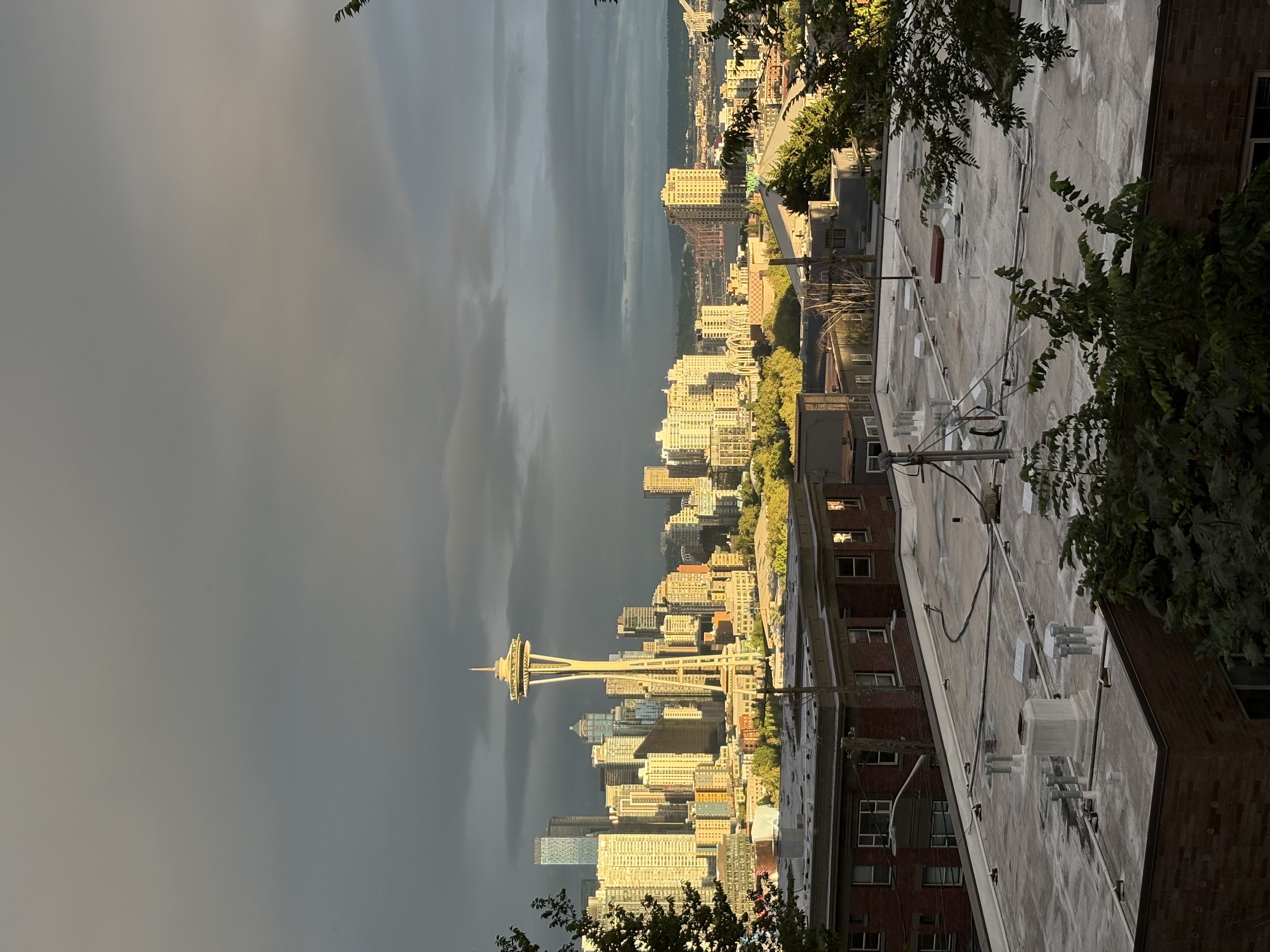 View at 2026-07-02T20:31:01