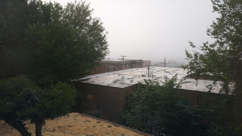 7:30 AM