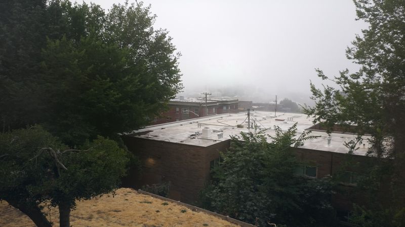 7:45 AM
