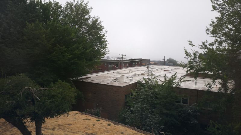 9:30 AM